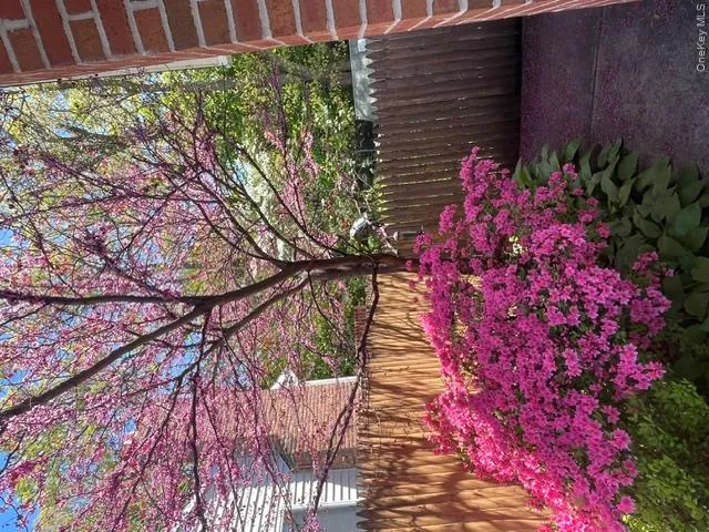 Gorgeous Flowering Gardens around the property Gorgeous Flowering Gardens around the property