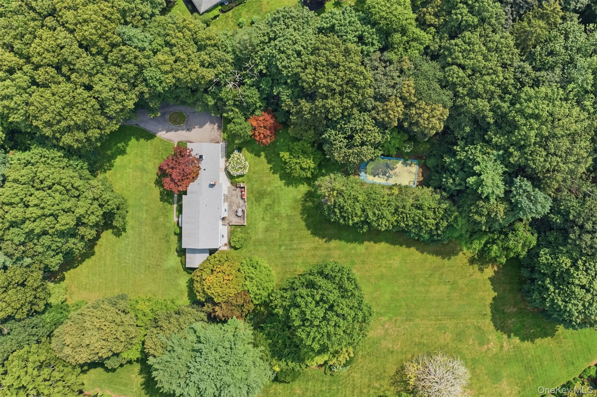 897 Ripley Lane, Oyster Bay, NY, 4 Bedrooms Bedrooms, 8 Rooms Rooms,3 BathroomsBathrooms,Residential,For Rent,Ripley,0,1039187 897 Ripley Lane, Oyster Bay, NY, 4 Bedrooms Bedrooms, 8 Rooms Rooms,3 BathroomsBathrooms,Residential,For Rent,Ripley,0,1039187