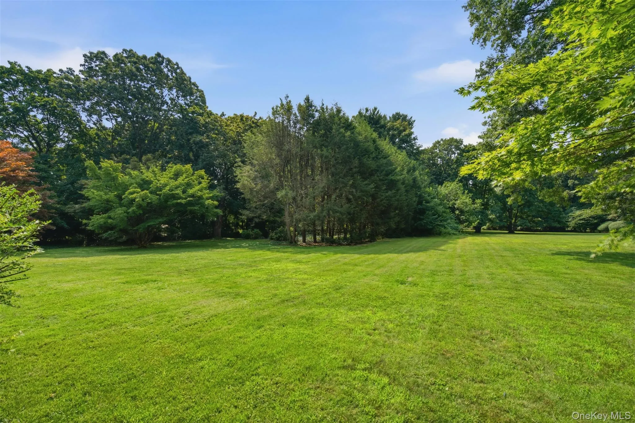 Rear flat lawn Rear flat lawn