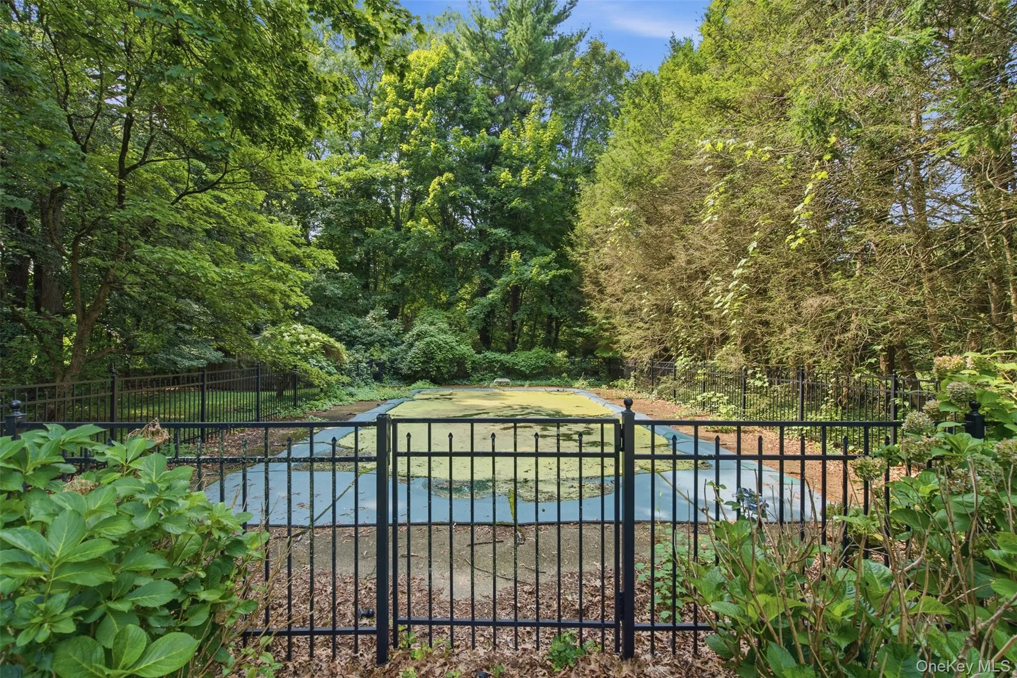 Fenced in pool Fenced in pool
