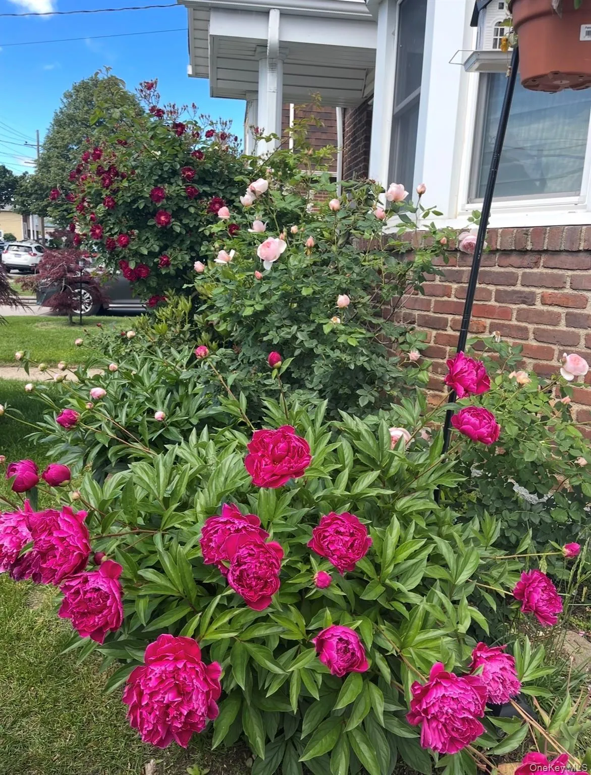 47 Fendale Street, Hempstead, NY, 4 Bedrooms Bedrooms, 7 Rooms Rooms,2 BathroomsBathrooms,Residential,For Rent,Fendale,0,1039188 47 Fendale Street, Hempstead, NY, 4 Bedrooms Bedrooms, 7 Rooms Rooms,2 BathroomsBathrooms,Residential,For Rent,Fendale,0,1039188
