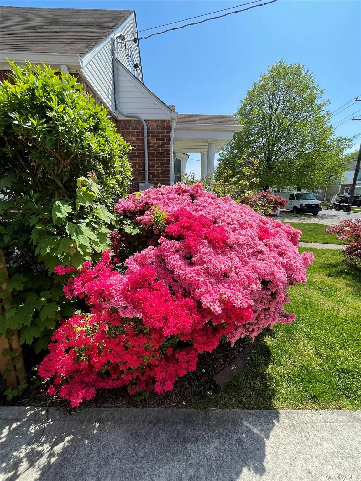 47 Fendale Street, Hempstead, NY, 4 Bedrooms Bedrooms, 7 Rooms Rooms,2 BathroomsBathrooms,Residential,For Rent,Fendale,0,1039188 47 Fendale Street, Hempstead, NY, 4 Bedrooms Bedrooms, 7 Rooms Rooms,2 BathroomsBathrooms,Residential,For Rent,Fendale,0,1039188
