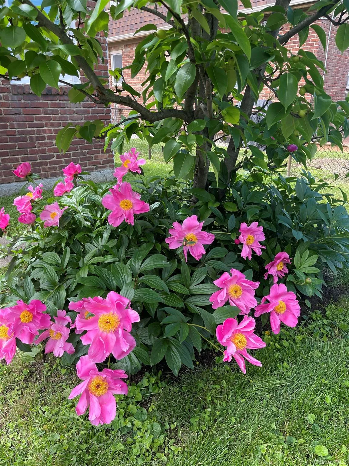 47 Fendale Street, Hempstead, NY, 4 Bedrooms Bedrooms, 7 Rooms Rooms,2 BathroomsBathrooms,Residential,For Rent,Fendale,0,1039188 47 Fendale Street, Hempstead, NY, 4 Bedrooms Bedrooms, 7 Rooms Rooms,2 BathroomsBathrooms,Residential,For Rent,Fendale,0,1039188