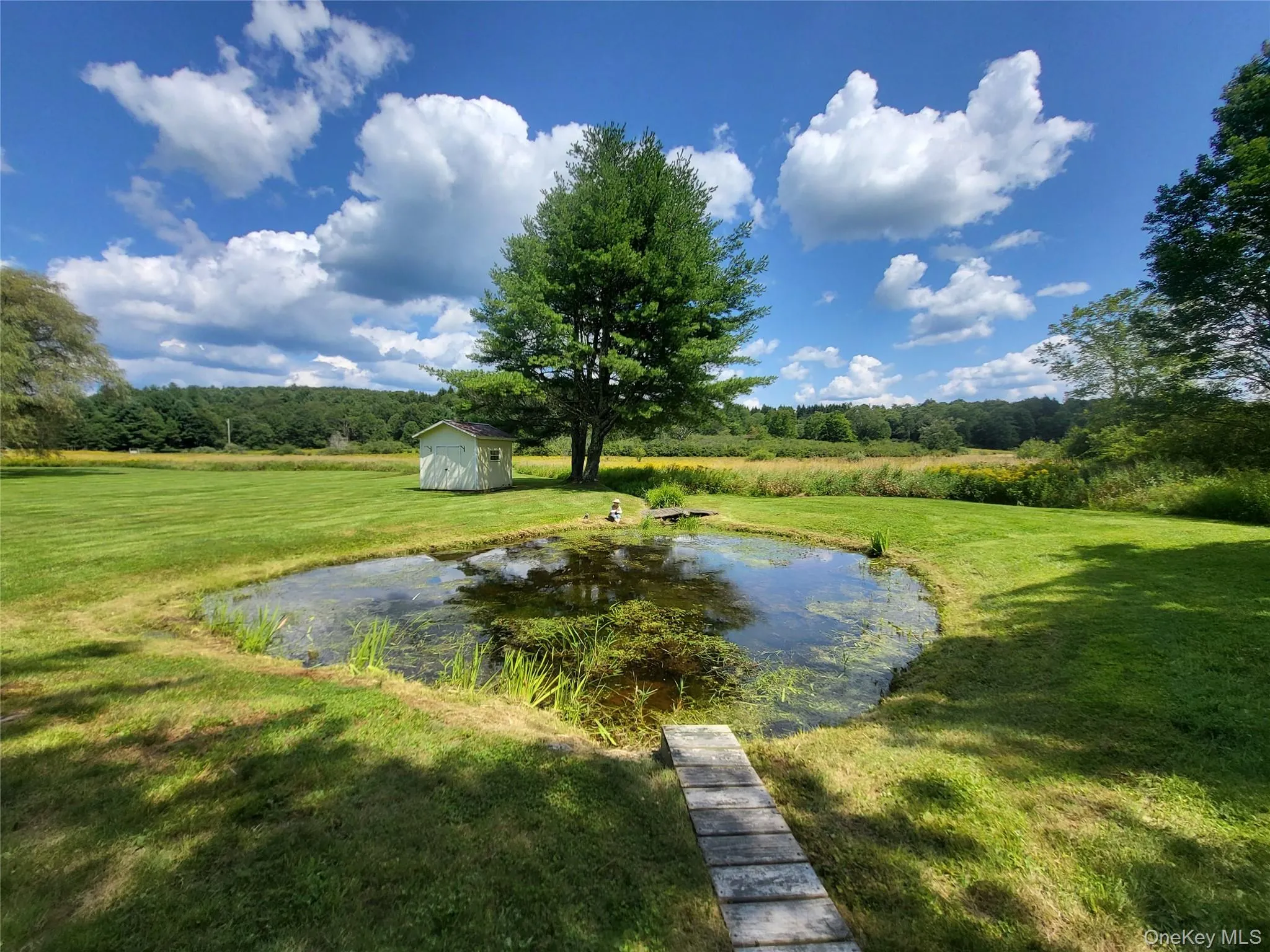 290 Behr Road, Bethel, NY, 2 Bedrooms Bedrooms, 6 Rooms Rooms,1 BathroomBathrooms,Residential,For Rent,Behr,0,1039198 290 Behr Road, Bethel, NY, 2 Bedrooms Bedrooms, 6 Rooms Rooms,1 BathroomBathrooms,Residential,For Rent,Behr,0,1039198