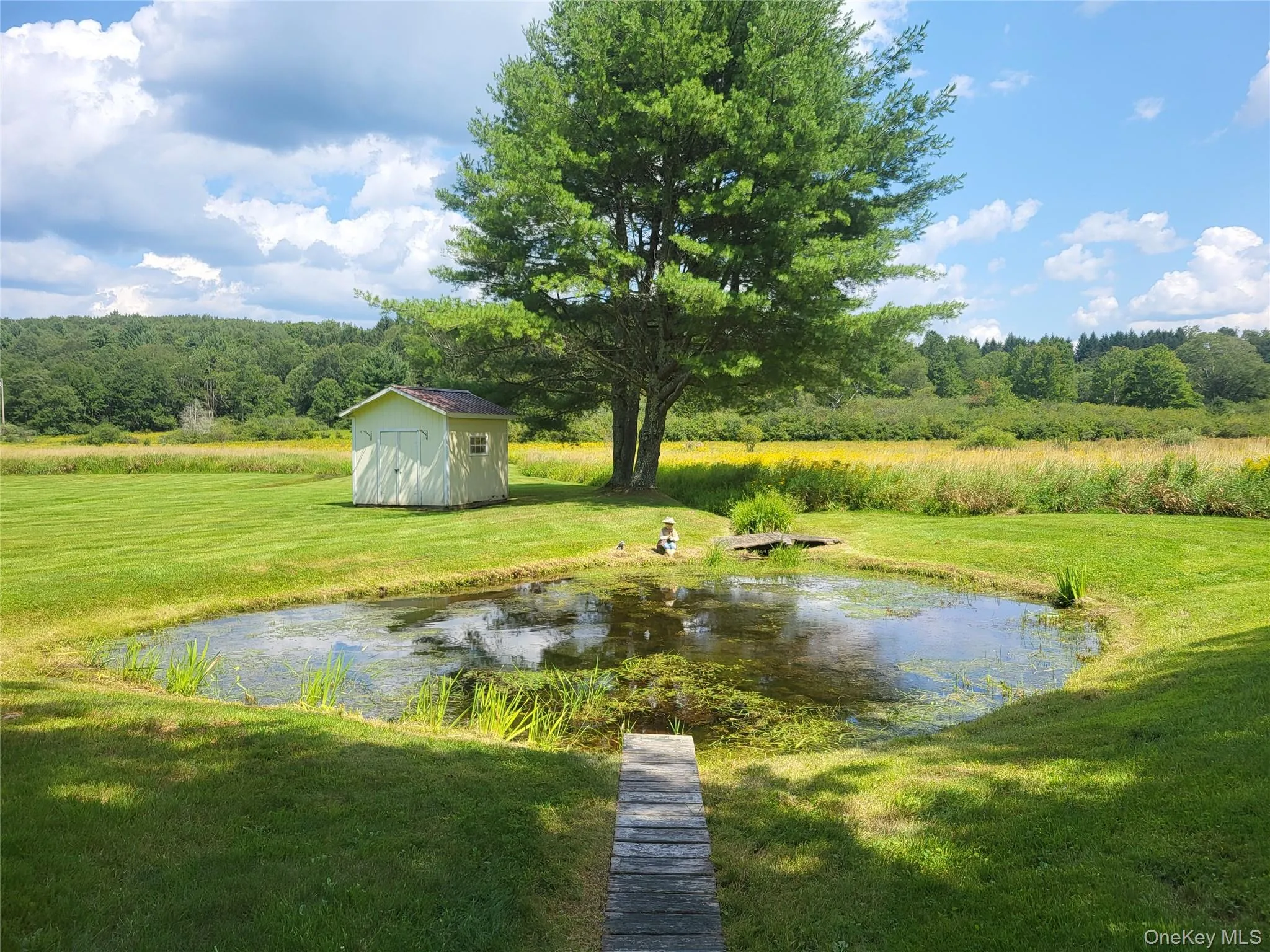 290 Behr Road, Bethel, NY, 2 Bedrooms Bedrooms, 6 Rooms Rooms,1 BathroomBathrooms,Residential,For Rent,Behr,0,1039198 290 Behr Road, Bethel, NY, 2 Bedrooms Bedrooms, 6 Rooms Rooms,1 BathroomBathrooms,Residential,For Rent,Behr,0,1039198