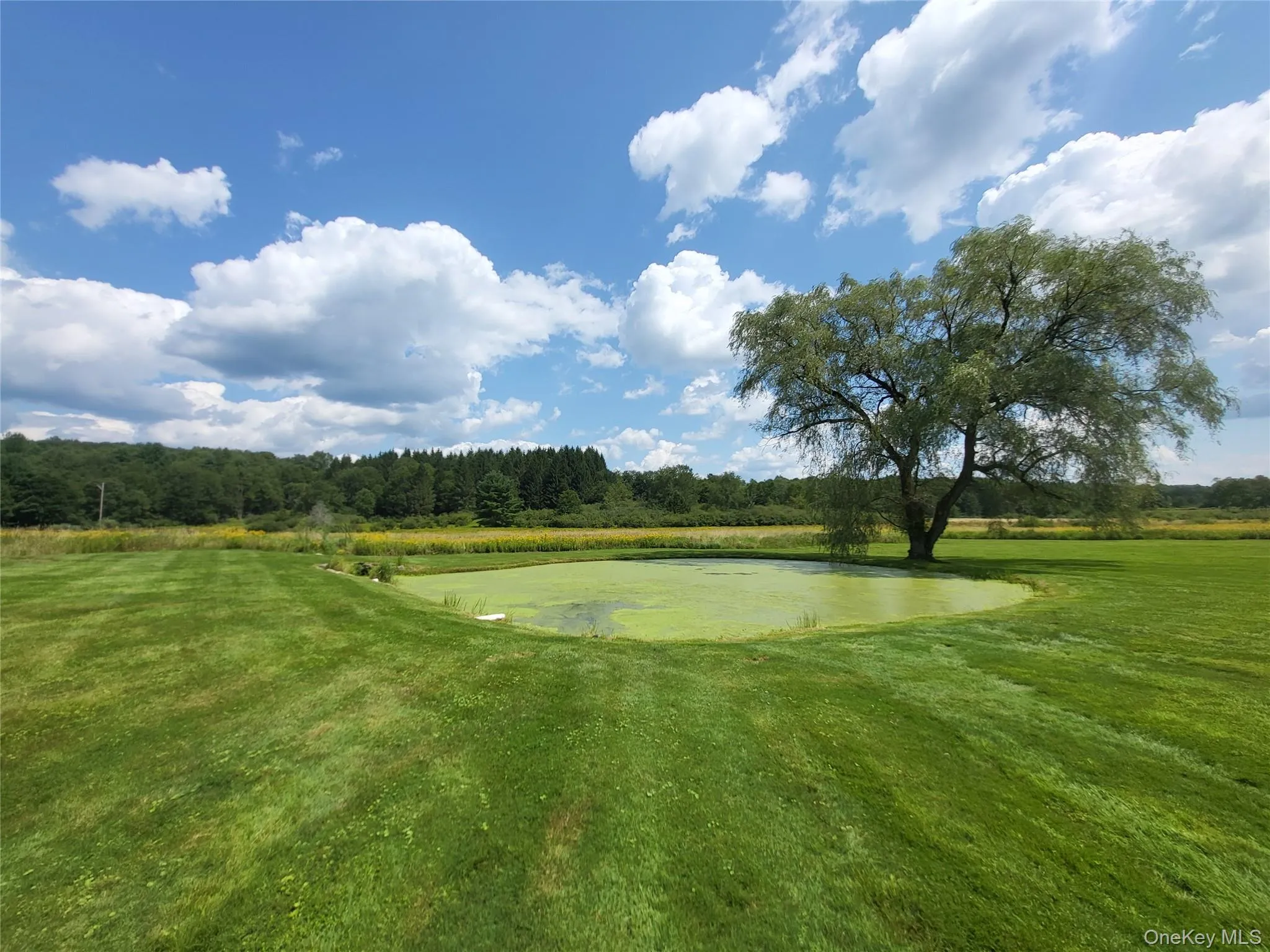 290 Behr Road, Bethel, NY, 2 Bedrooms Bedrooms, 6 Rooms Rooms,1 BathroomBathrooms,Residential,For Rent,Behr,0,1039198 290 Behr Road, Bethel, NY, 2 Bedrooms Bedrooms, 6 Rooms Rooms,1 BathroomBathrooms,Residential,For Rent,Behr,0,1039198
