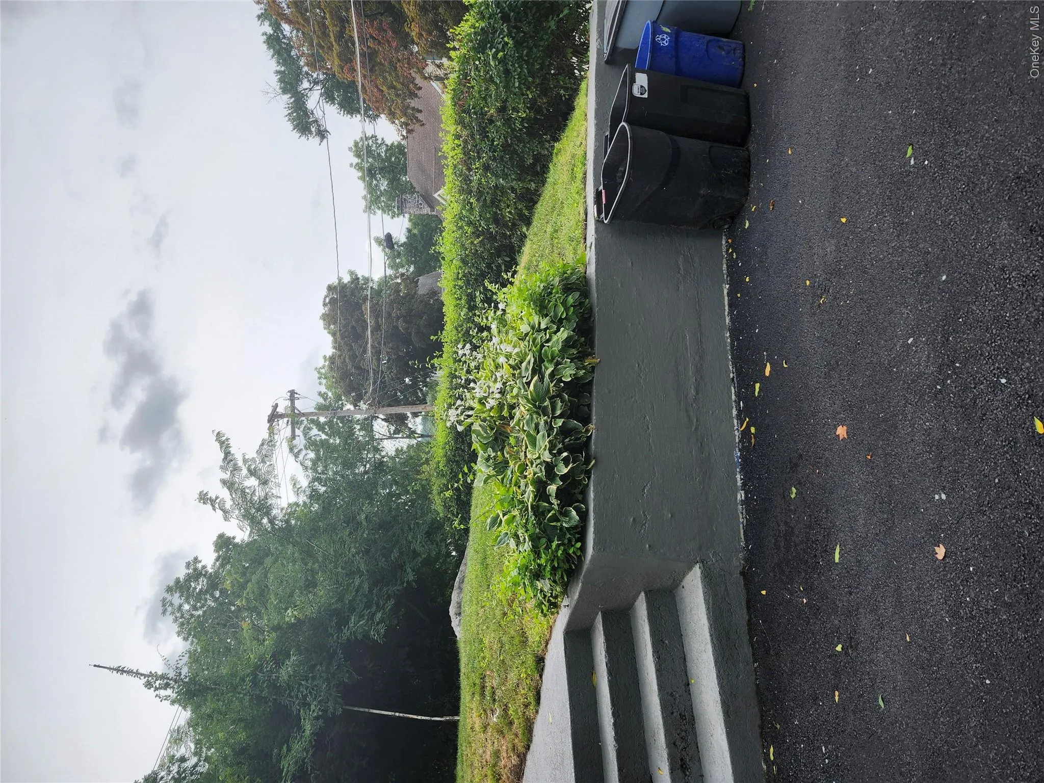 Driveway Driveway