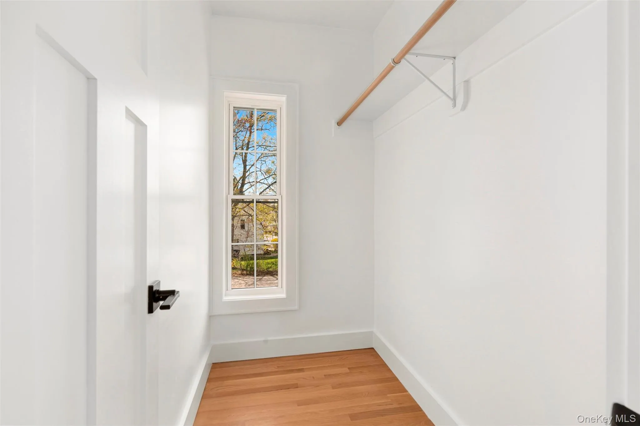 Walk in closet featuring light wood finished floors Walk in closet featuring light wood finished floors