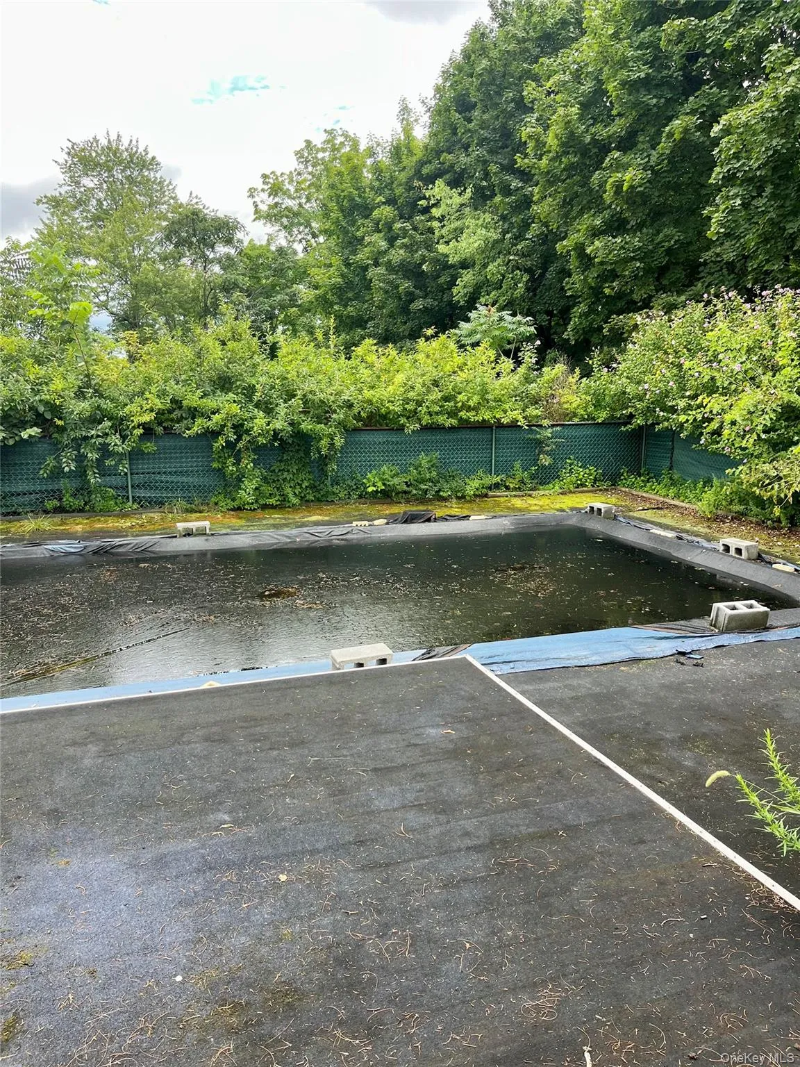370 Greeves Road, Wawayanda, NY, 3 Bedrooms Bedrooms, 6 Rooms Rooms,2 BathroomsBathrooms,Residential,For Rent,Greeves,0,1039279 370 Greeves Road, Wawayanda, NY, 3 Bedrooms Bedrooms, 6 Rooms Rooms,2 BathroomsBathrooms,Residential,For Rent,Greeves,0,1039279