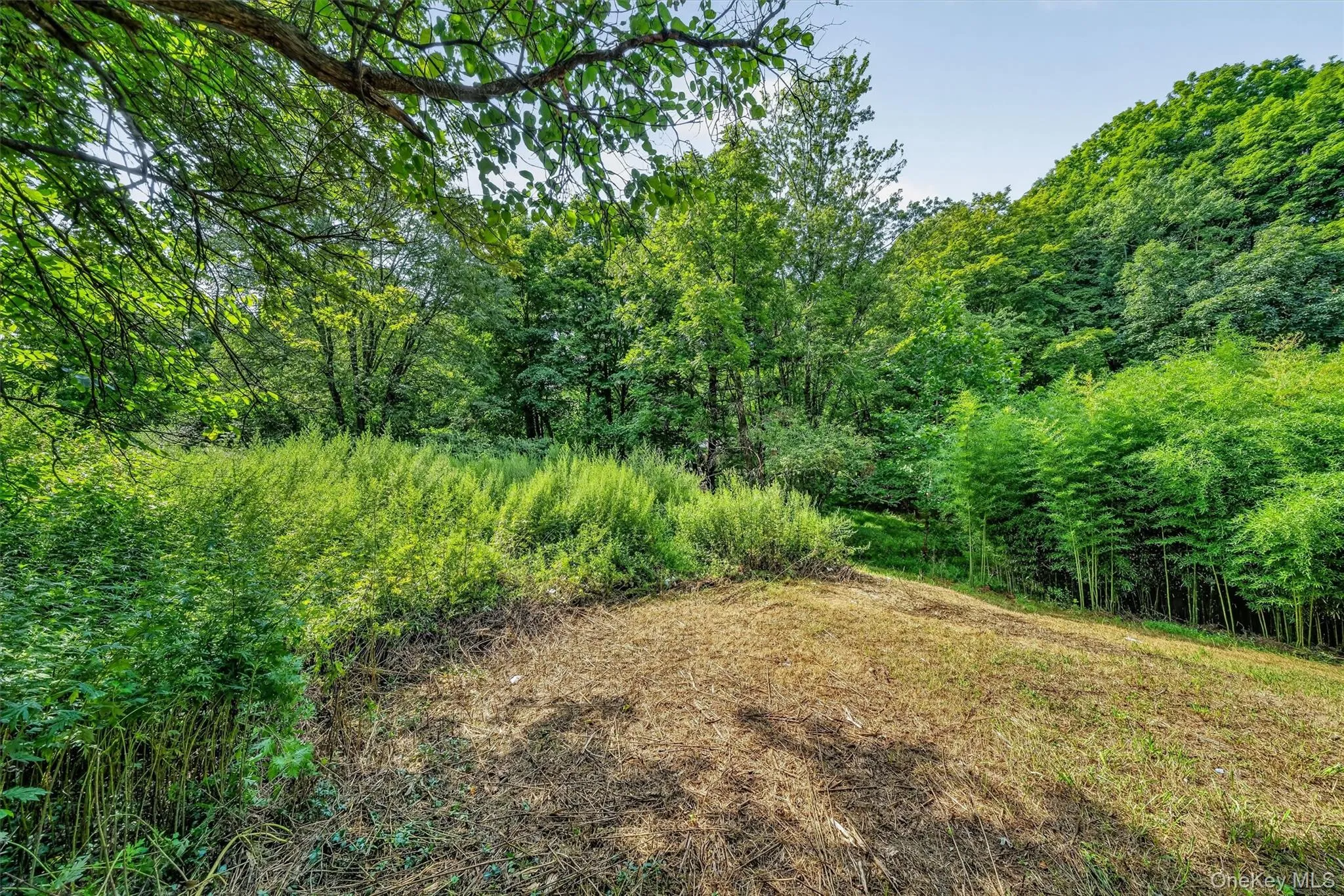 61 Main Street, Minisink, NY, 3 Bedrooms Bedrooms, 6 Rooms Rooms,1 BathroomBathrooms,Residential,For Rent,Main,0,1039303 61 Main Street, Minisink, NY, 3 Bedrooms Bedrooms, 6 Rooms Rooms,1 BathroomBathrooms,Residential,For Rent,Main,0,1039303