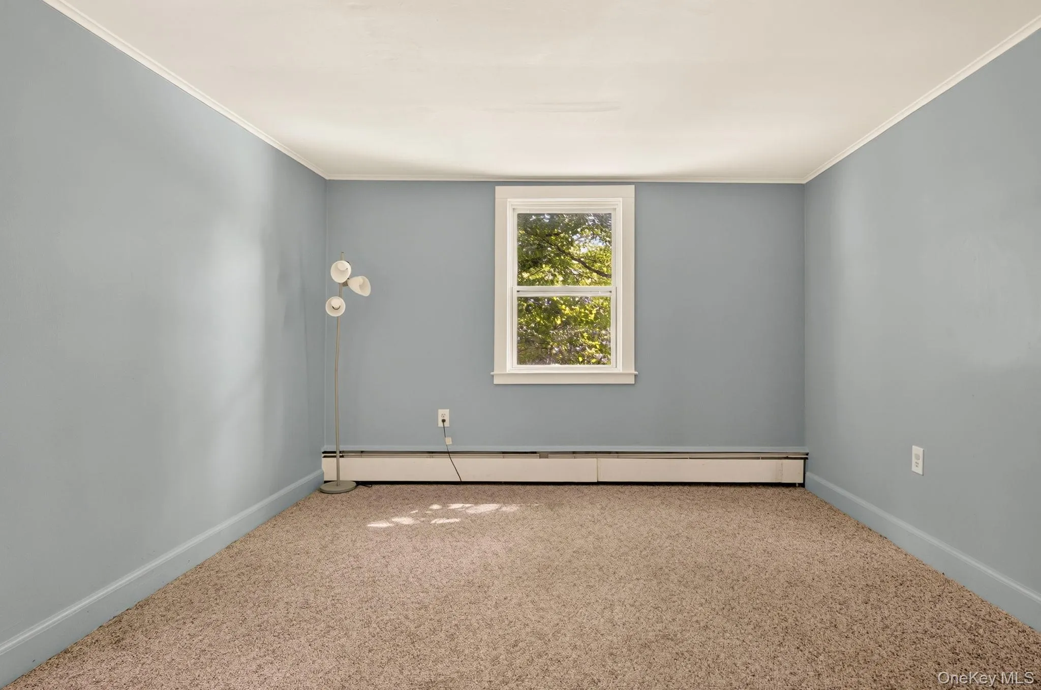 Wall-to-wall carpeting with light blue walls, white window trim, and baseboard heating Wall-to-wall carpeting with light blue walls, white window trim, and baseboard heating