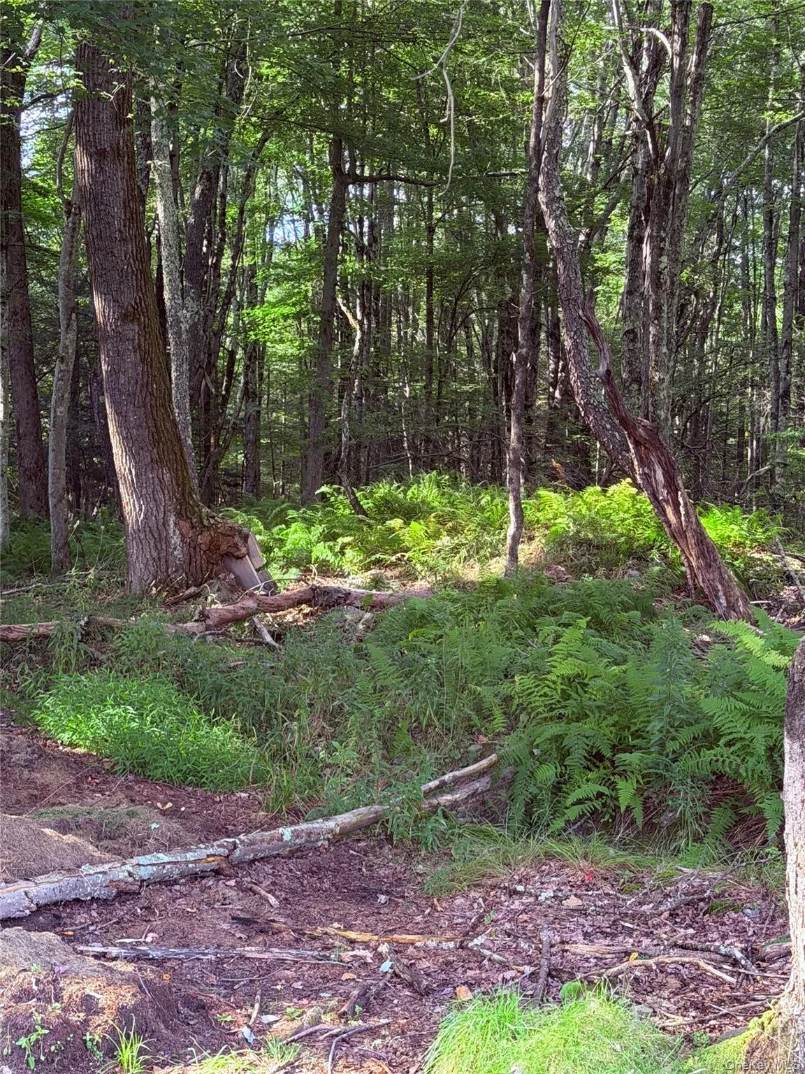 412 Brown Road, Wawarsing, NY, 3 Bedrooms Bedrooms, 7 Rooms Rooms,1 BathroomBathrooms,Residential,For Rent,Brown,0,1039337 412 Brown Road, Wawarsing, NY, 3 Bedrooms Bedrooms, 7 Rooms Rooms,1 BathroomBathrooms,Residential,For Rent,Brown,0,1039337