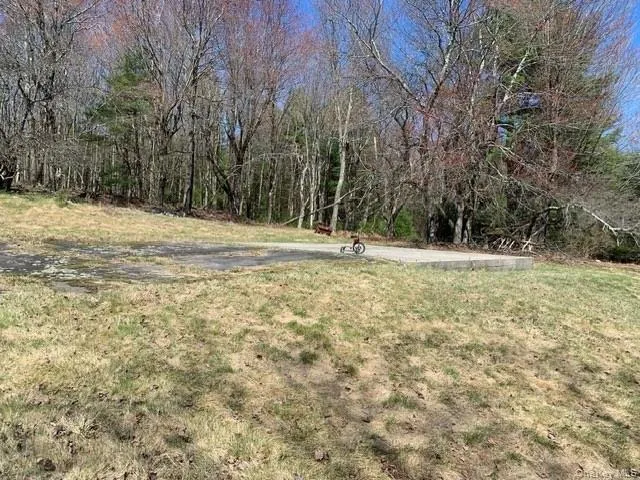 255 Wild Turnpike, Thompson, NY, ,Land,For Rent,Wild,0,1039349 255 Wild Turnpike, Thompson, NY, ,Land,For Rent,Wild,0,1039349
