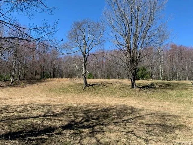 255 Wild Turnpike, Thompson, NY, ,Land,For Rent,Wild,0,1039349 255 Wild Turnpike, Thompson, NY, ,Land,For Rent,Wild,0,1039349