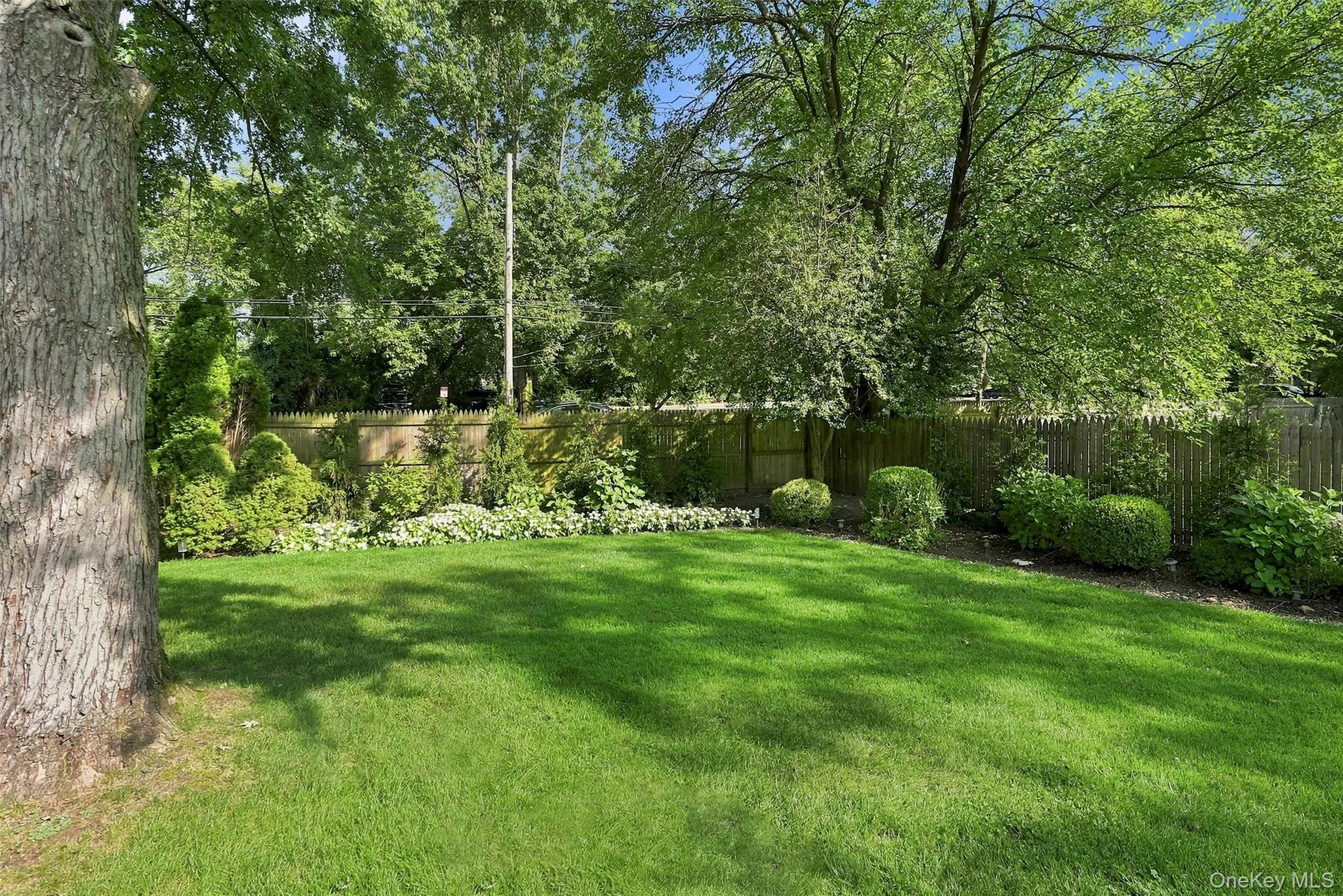 50 Pondview, Rye City, NY, 3 Bedrooms Bedrooms, 7 Rooms Rooms,2 BathroomsBathrooms,Residential Lease,For Rent,Pondview,0,1039369 50 Pondview, Rye City, NY, 3 Bedrooms Bedrooms, 7 Rooms Rooms,2 BathroomsBathrooms,Residential Lease,For Rent,Pondview,0,1039369