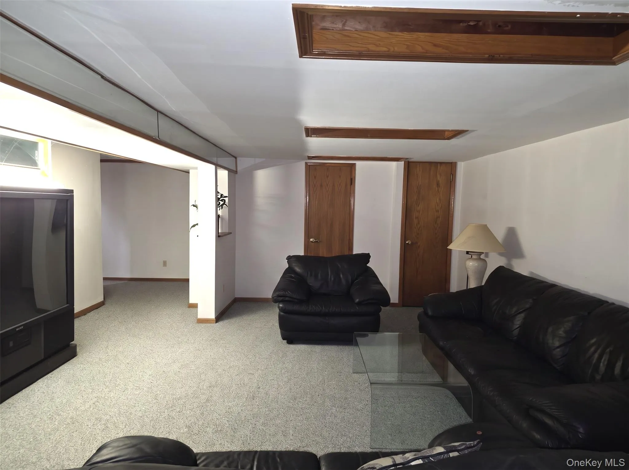 Full Baement Family Room View Full Baement Family Room View
