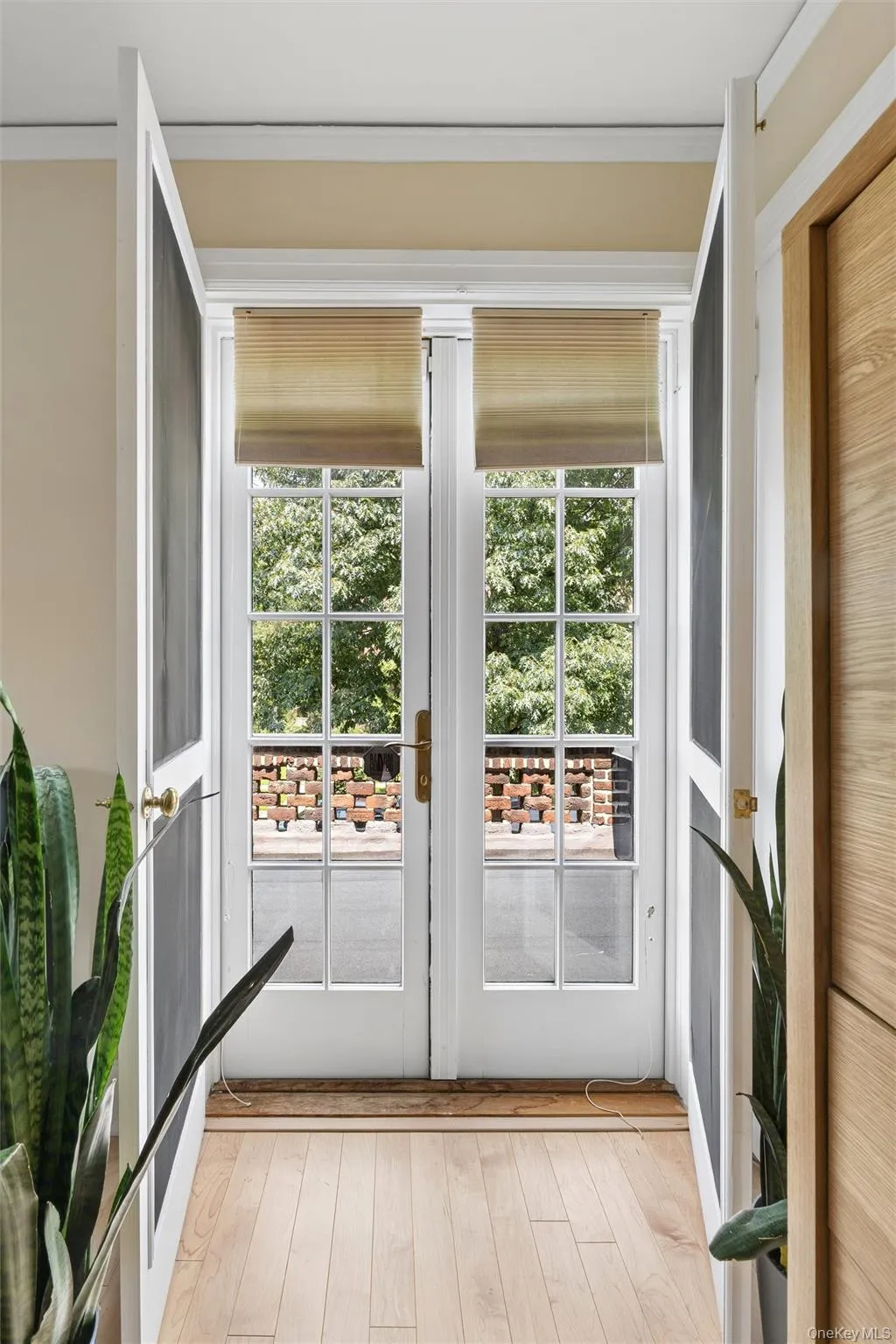 9 Whitson Street, New York, NY, 4 Bedrooms Bedrooms, 8 Rooms Rooms,2 BathroomsBathrooms,Residential,For Rent,Whitson,0,1039388 9 Whitson Street, New York, NY, 4 Bedrooms Bedrooms, 8 Rooms Rooms,2 BathroomsBathrooms,Residential,For Rent,Whitson,0,1039388