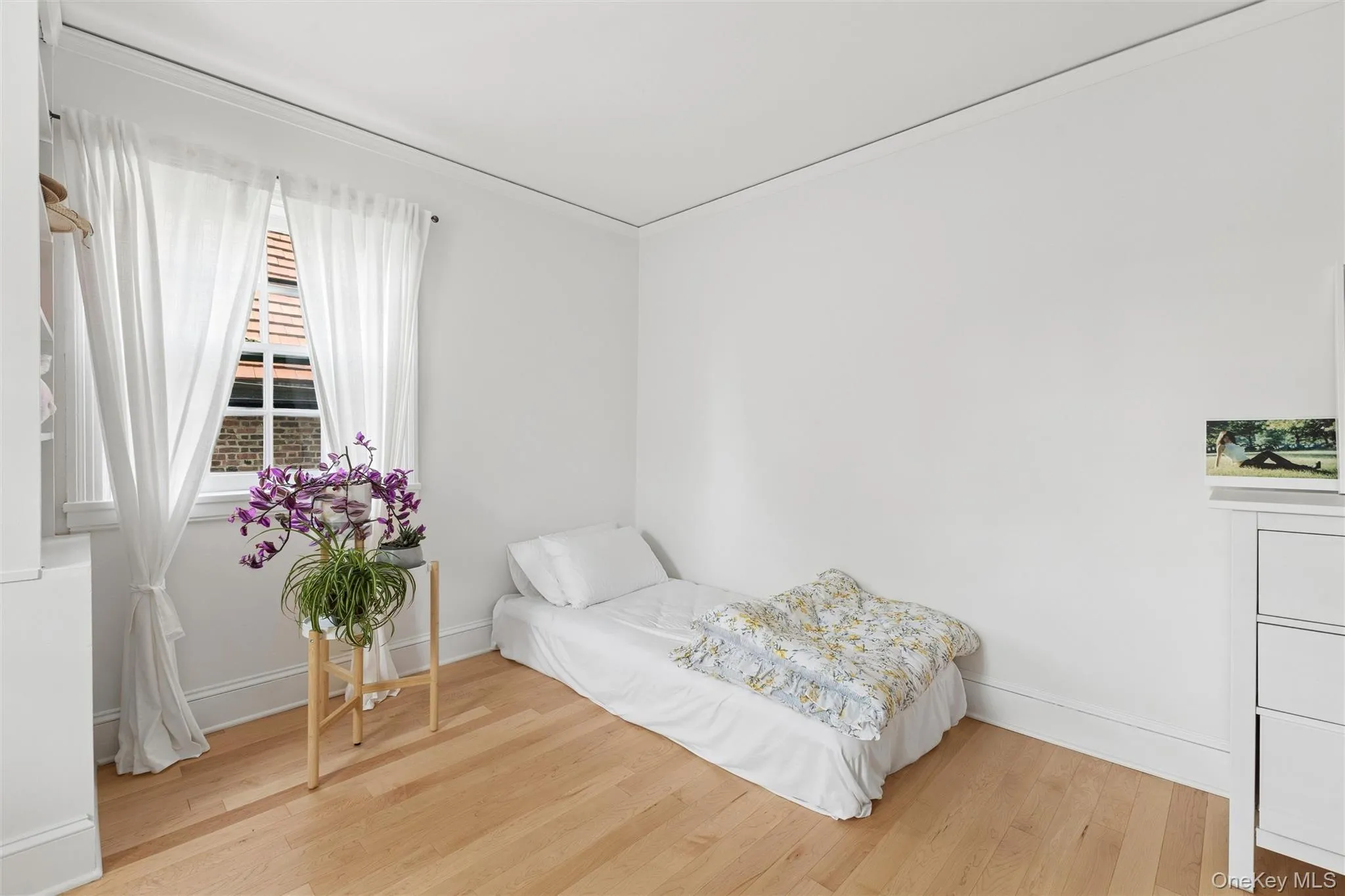 9 Whitson Street, New York, NY, 4 Bedrooms Bedrooms, 8 Rooms Rooms,2 BathroomsBathrooms,Residential,For Rent,Whitson,0,1039388 9 Whitson Street, New York, NY, 4 Bedrooms Bedrooms, 8 Rooms Rooms,2 BathroomsBathrooms,Residential,For Rent,Whitson,0,1039388