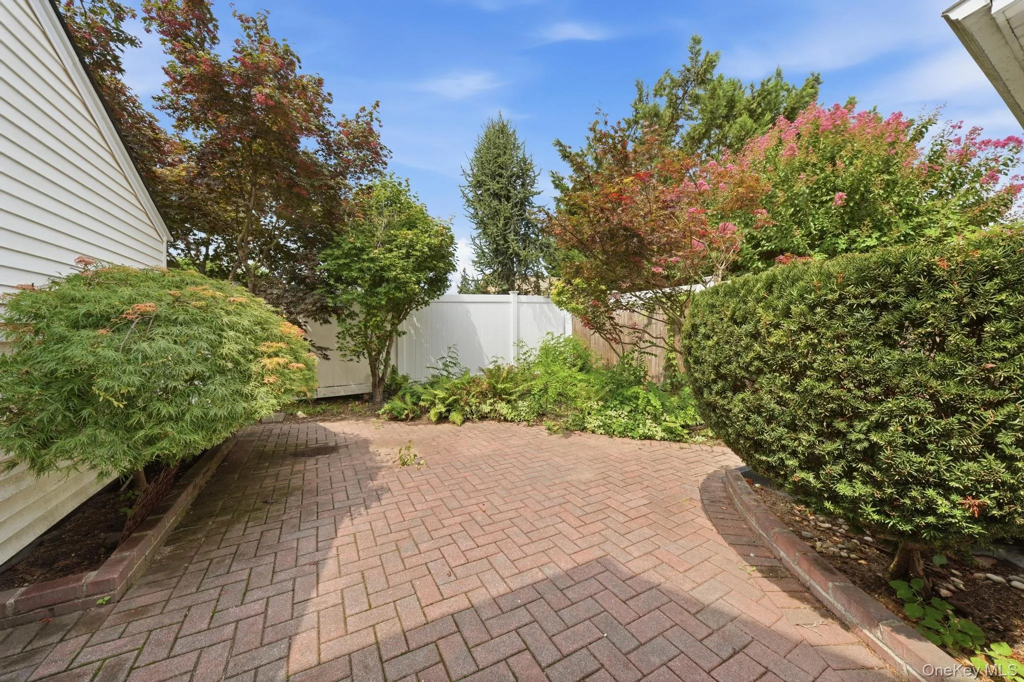 Side Yard Side Yard