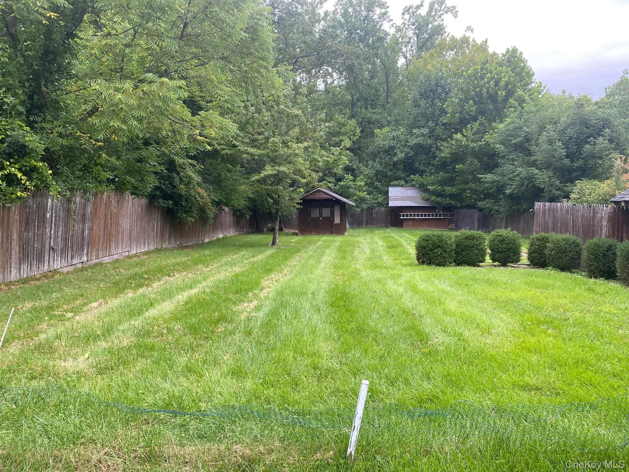 Expansive Back Yard Expansive Back Yard