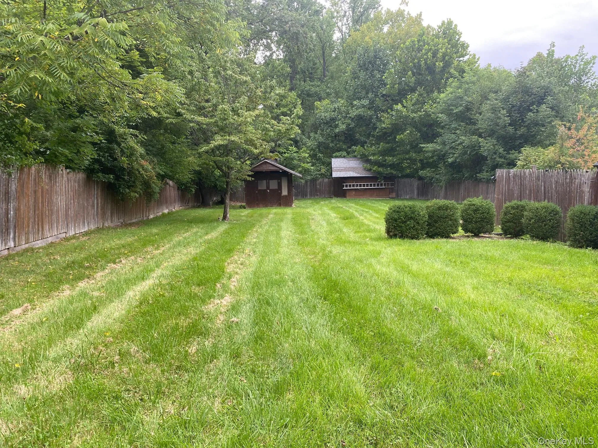 Flat, level yard Flat, level yard