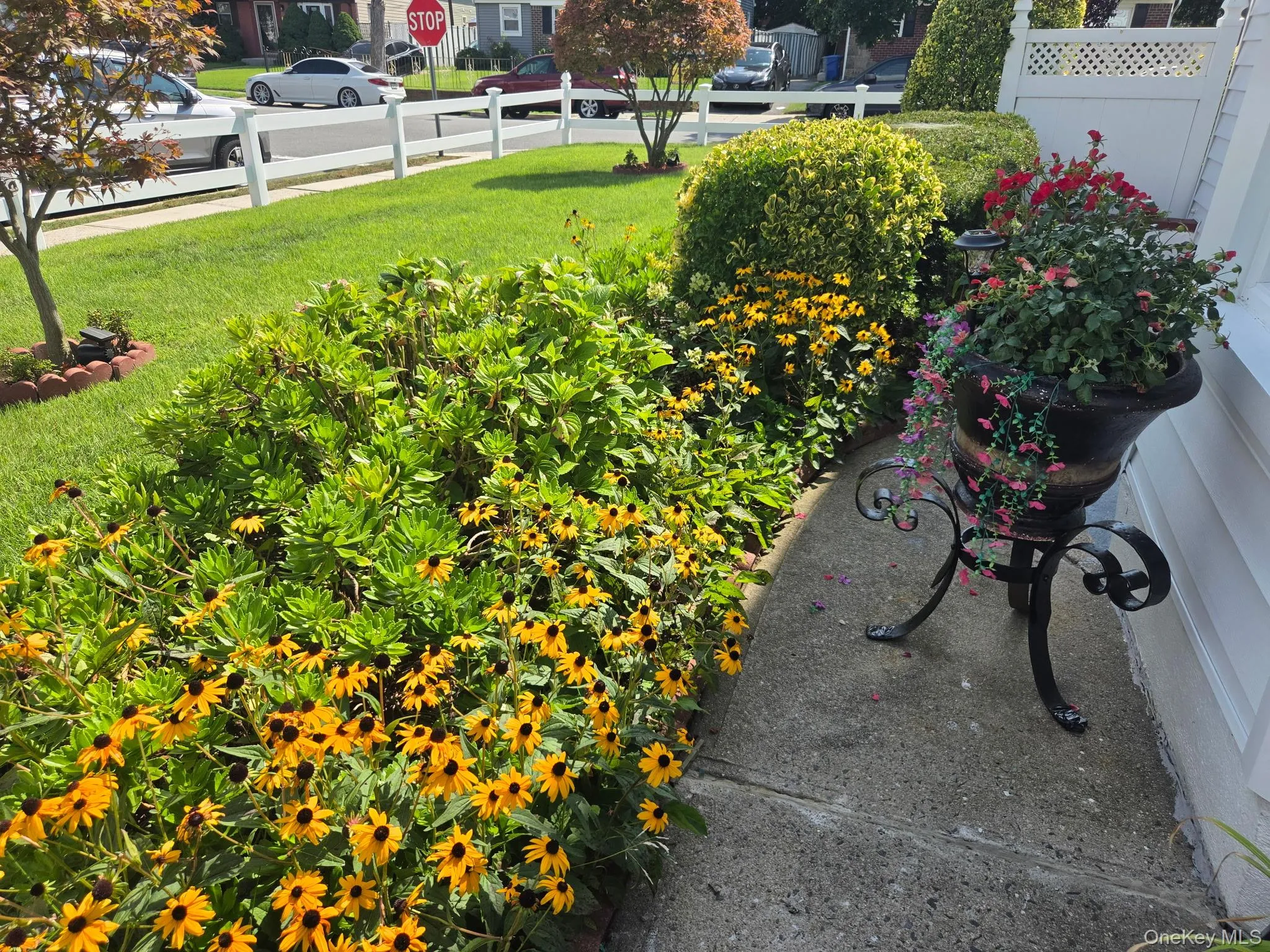 235 Fieldmere Street, Hempstead, NY, 2 Bedrooms Bedrooms, 5 Rooms Rooms,1 BathroomBathrooms,Residential Lease,For Rent,Fieldmere,0,1039411 235 Fieldmere Street, Hempstead, NY, 2 Bedrooms Bedrooms, 5 Rooms Rooms,1 BathroomBathrooms,Residential Lease,For Rent,Fieldmere,0,1039411