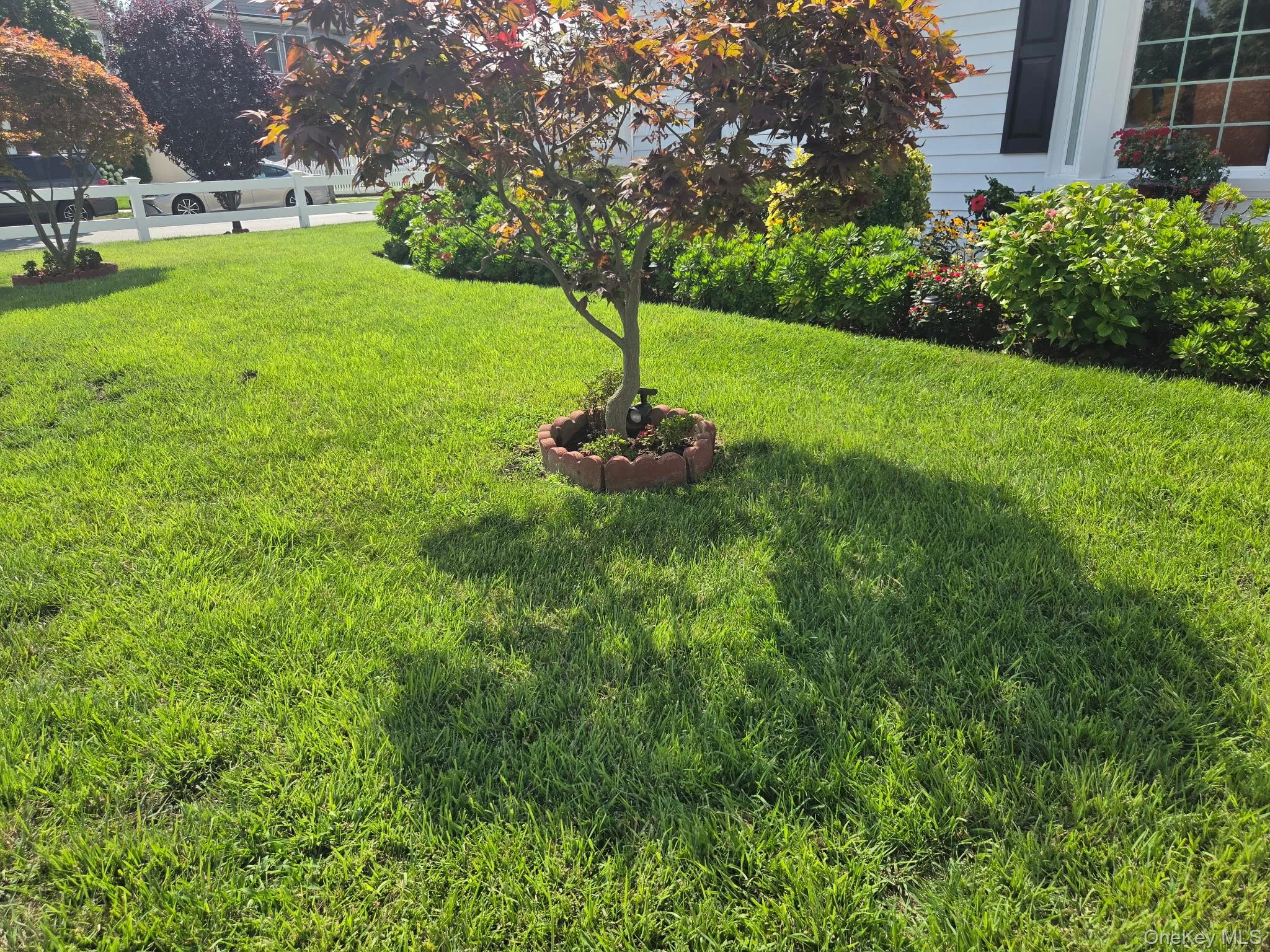 235 Fieldmere Street, Hempstead, NY, 2 Bedrooms Bedrooms, 5 Rooms Rooms,1 BathroomBathrooms,Residential Lease,For Rent,Fieldmere,0,1039411 235 Fieldmere Street, Hempstead, NY, 2 Bedrooms Bedrooms, 5 Rooms Rooms,1 BathroomBathrooms,Residential Lease,For Rent,Fieldmere,0,1039411