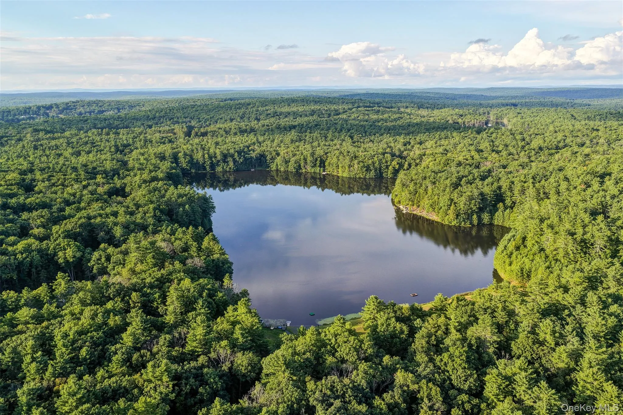 76 Timber Lake Drive, Highland, NY, 3 Bedrooms Bedrooms, 9 Rooms Rooms,2 BathroomsBathrooms,Residential,For Rent,Timber Lake,0,1039419 76 Timber Lake Drive, Highland, NY, 3 Bedrooms Bedrooms, 9 Rooms Rooms,2 BathroomsBathrooms,Residential,For Rent,Timber Lake,0,1039419