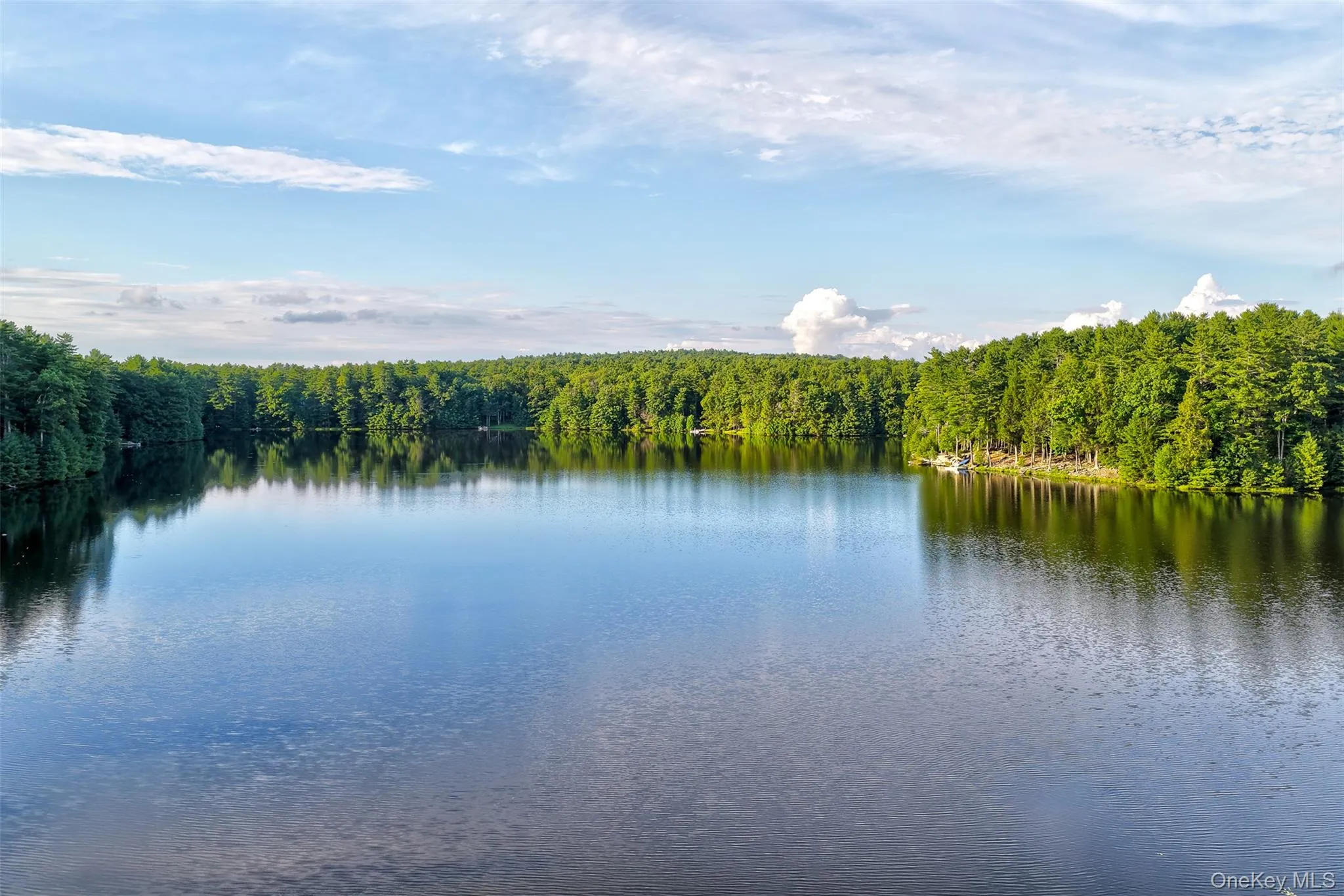 76 Timber Lake Drive, Highland, NY, 3 Bedrooms Bedrooms, 9 Rooms Rooms,2 BathroomsBathrooms,Residential,For Rent,Timber Lake,0,1039419 76 Timber Lake Drive, Highland, NY, 3 Bedrooms Bedrooms, 9 Rooms Rooms,2 BathroomsBathrooms,Residential,For Rent,Timber Lake,0,1039419