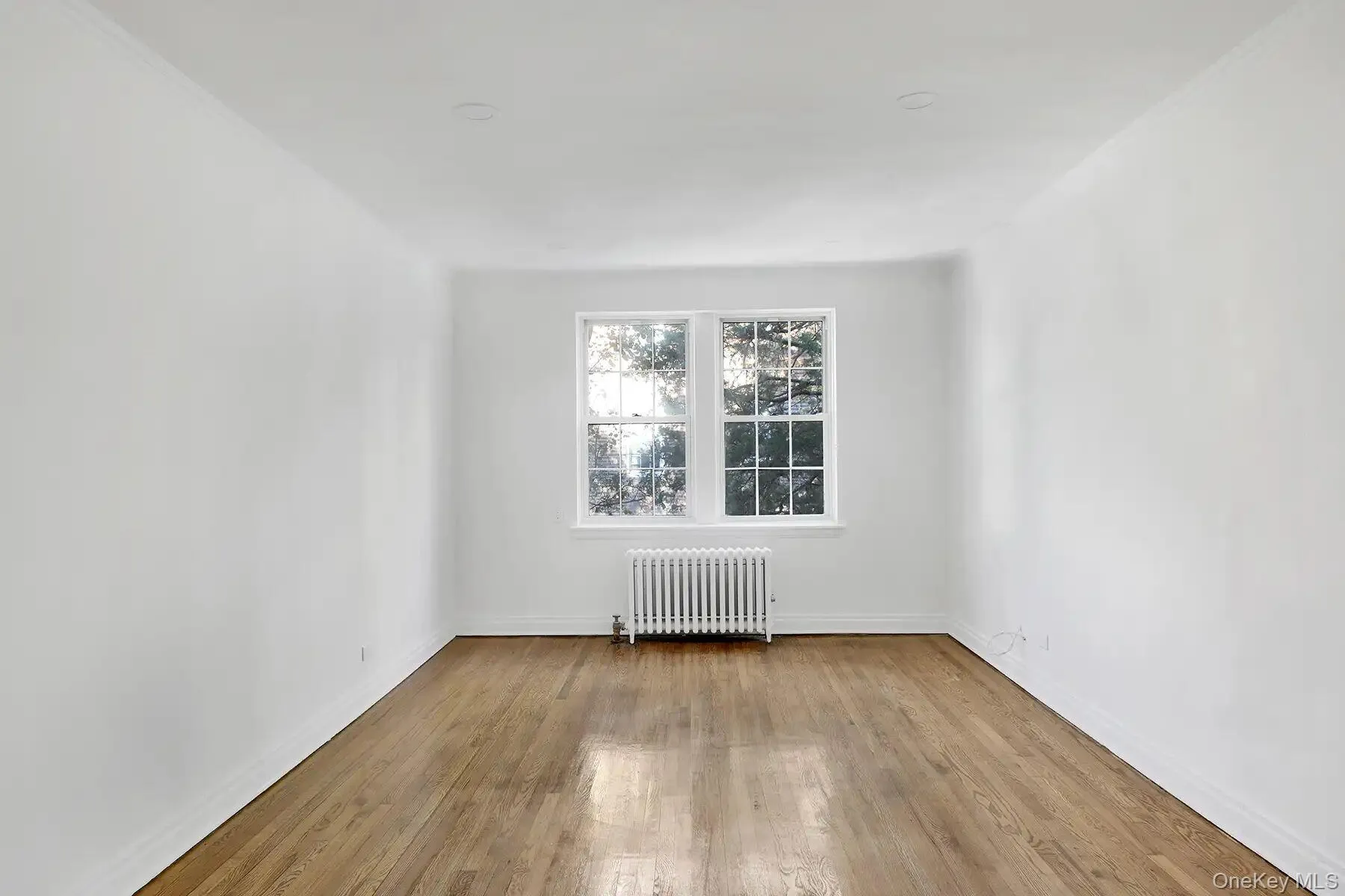 Hardwood flooring throughout, white walls, and a window with a radiator below Hardwood flooring throughout, white walls, and a window with a radiator below