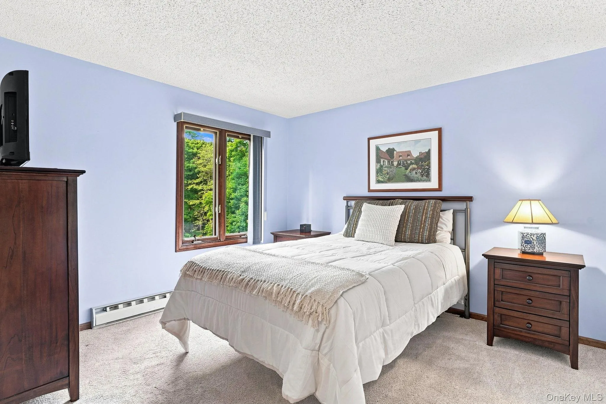 Carpeted room with a window featuring wood-frame trim Carpeted room with a window featuring wood-frame trim