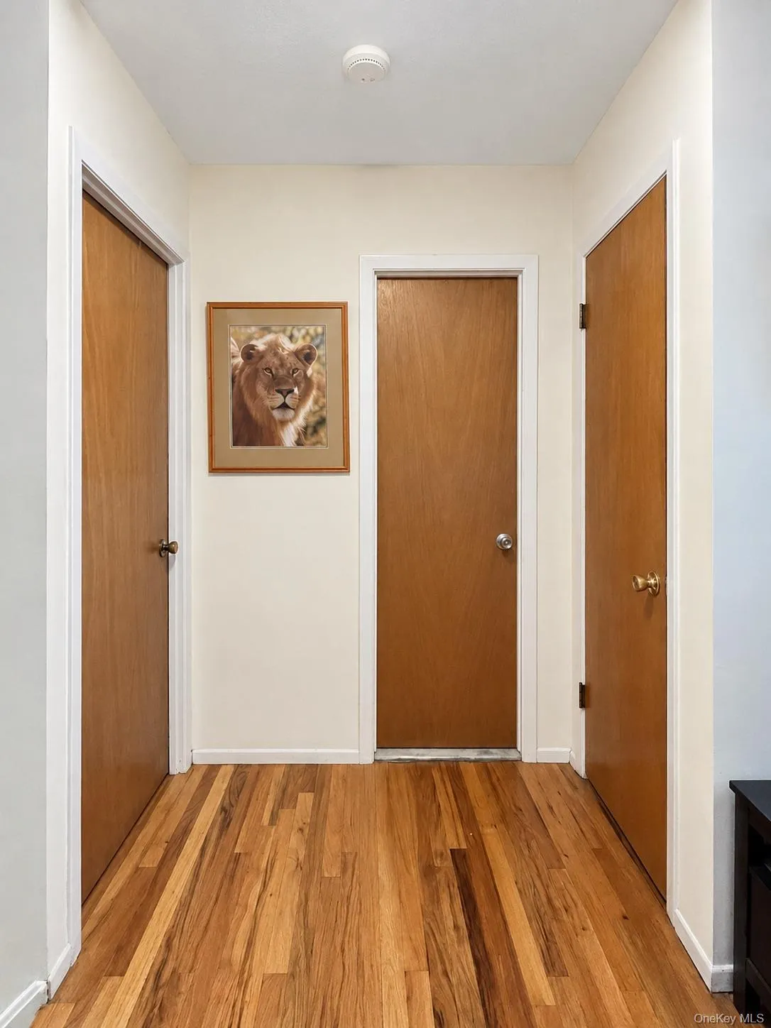 1340 Mac Donough Place, New York, NY, 3 Bedrooms Bedrooms, 8 Rooms Rooms,1 BathroomBathrooms,Residential,For Rent,Mac Donough,0,1039516 1340 Mac Donough Place, New York, NY, 3 Bedrooms Bedrooms, 8 Rooms Rooms,1 BathroomBathrooms,Residential,For Rent,Mac Donough,0,1039516