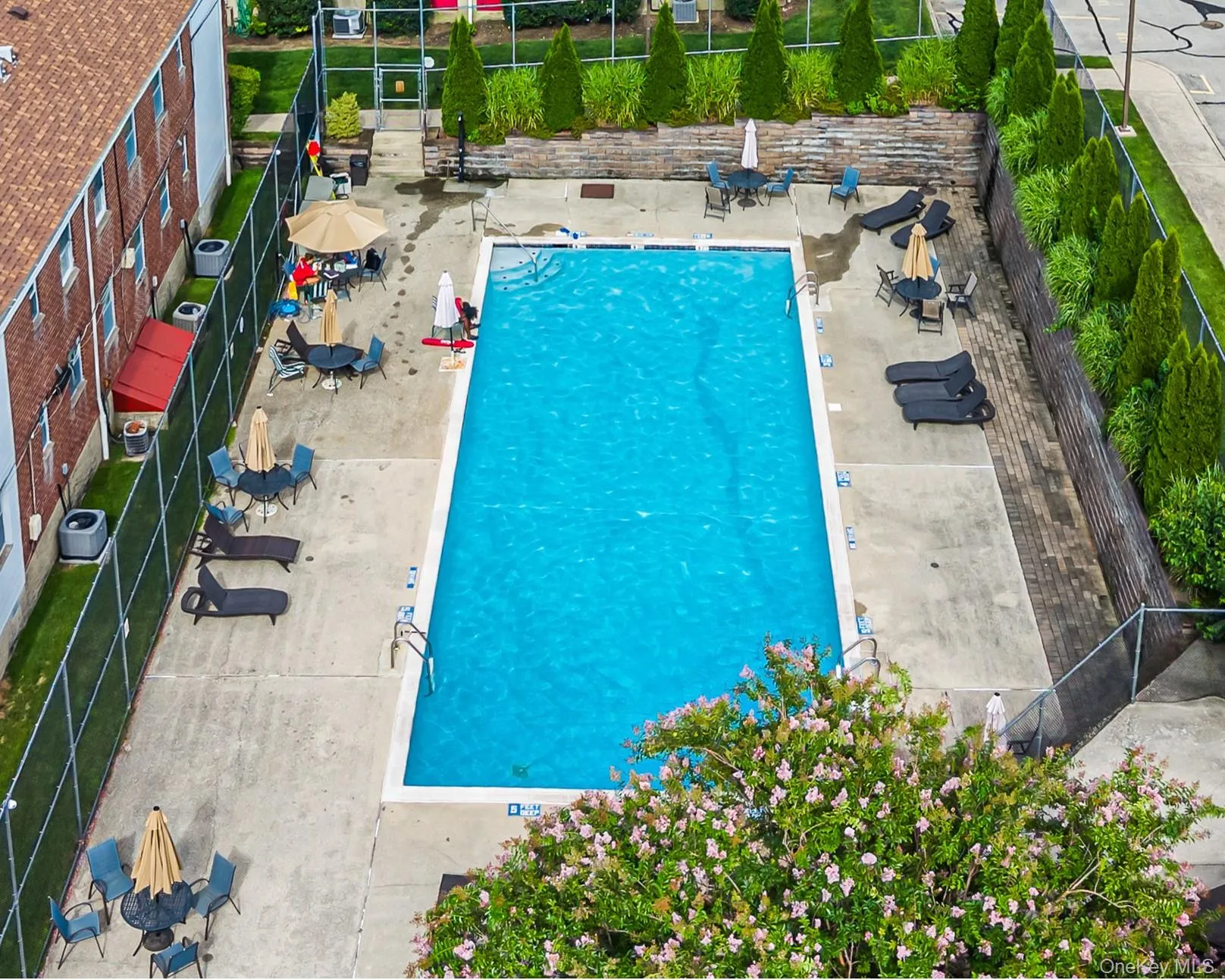 67-71 Cloverdale Lane, New York, NY, 1 Bedroom Bedrooms, 4 Rooms Rooms,1 BathroomBathrooms,Residential,For Rent,Cloverdale,0,1039533 67-71 Cloverdale Lane, New York, NY, 1 Bedroom Bedrooms, 4 Rooms Rooms,1 BathroomBathrooms,Residential,For Rent,Cloverdale,0,1039533