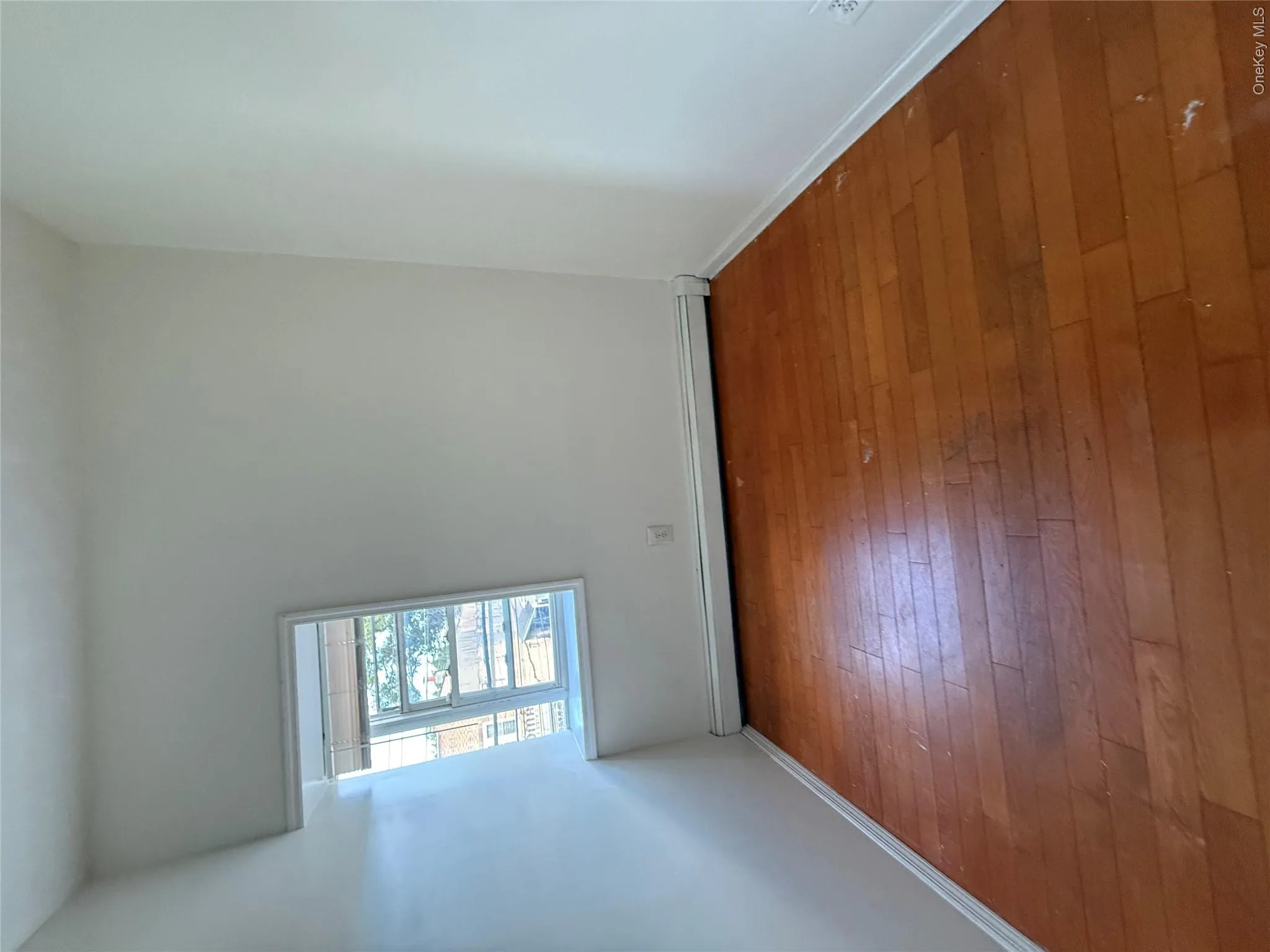 145-29 Lakewood Ave, New York, NY, 4 Bedrooms Bedrooms, 7 Rooms Rooms,1 BathroomBathrooms,Residential Lease,For Rent,Lakewood Ave,0,1039537 145-29 Lakewood Ave, New York, NY, 4 Bedrooms Bedrooms, 7 Rooms Rooms,1 BathroomBathrooms,Residential Lease,For Rent,Lakewood Ave,0,1039537
