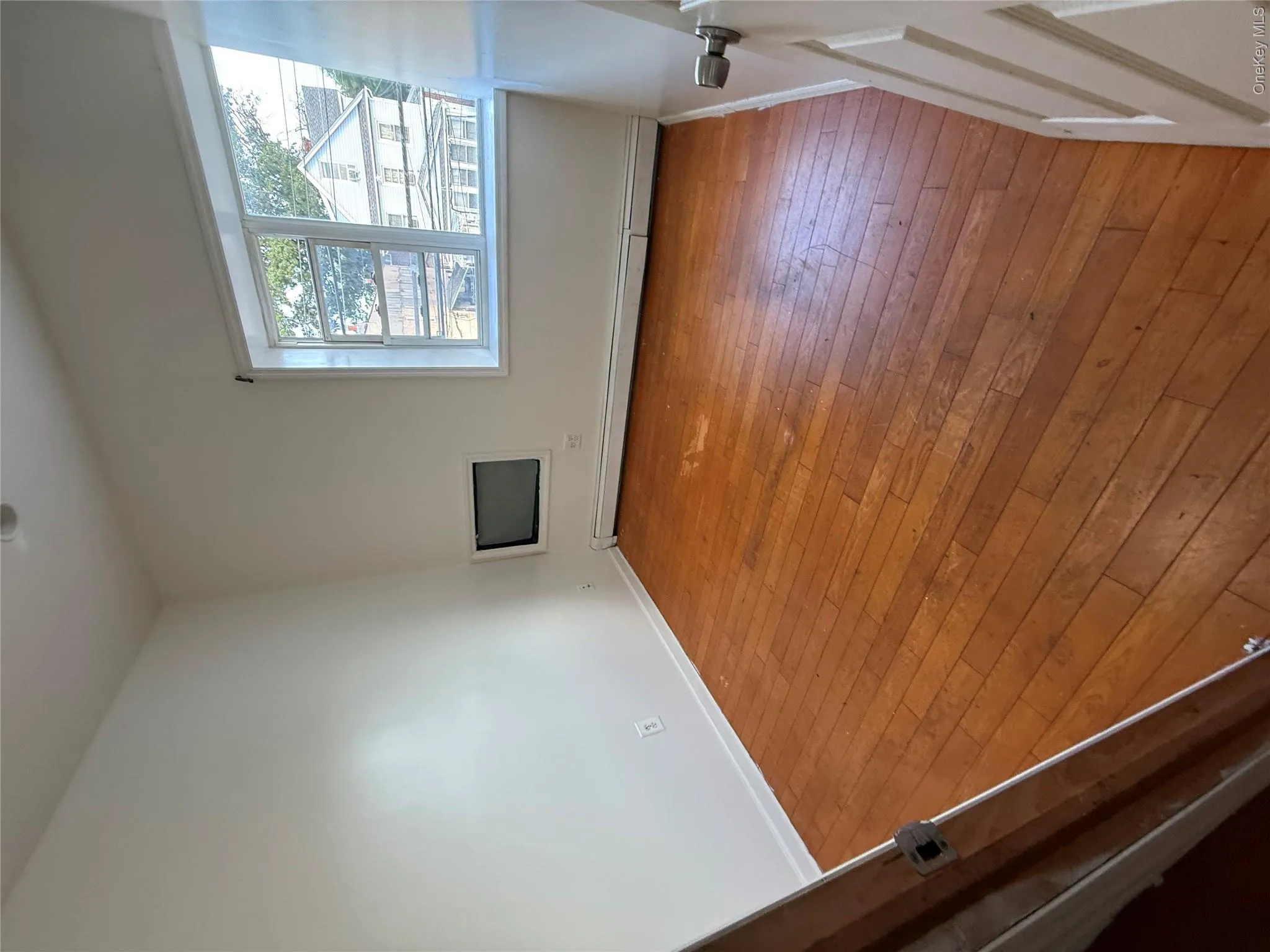 145-29 Lakewood Ave, New York, NY, 4 Bedrooms Bedrooms, 7 Rooms Rooms,1 BathroomBathrooms,Residential Lease,For Rent,Lakewood Ave,0,1039537 145-29 Lakewood Ave, New York, NY, 4 Bedrooms Bedrooms, 7 Rooms Rooms,1 BathroomBathrooms,Residential Lease,For Rent,Lakewood Ave,0,1039537