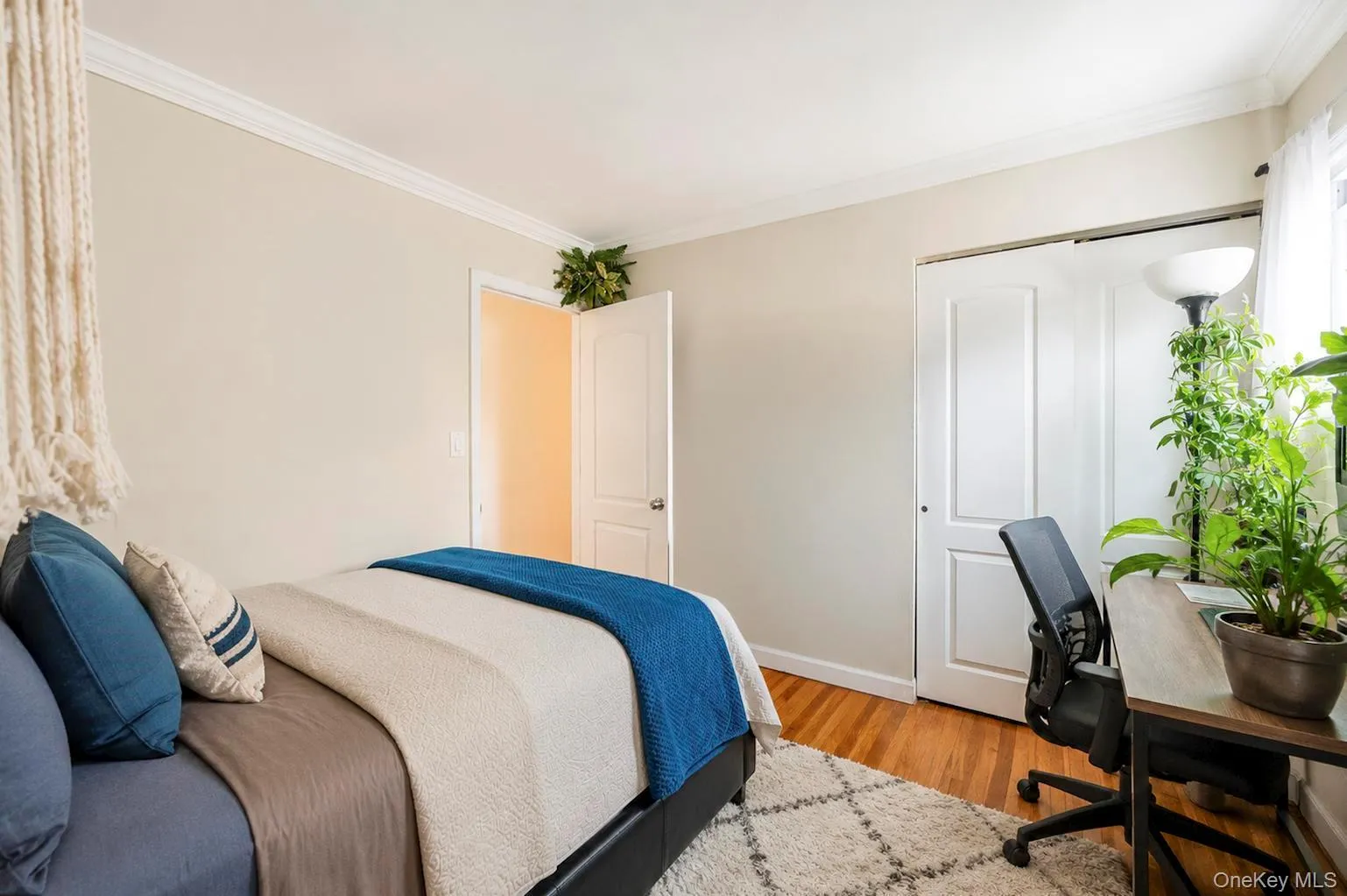 3 Humming Lane, Brookhaven, NY, 4 Bedrooms Bedrooms, 8 Rooms Rooms,3 BathroomsBathrooms,Residential,For Rent,Humming,0,1039557 3 Humming Lane, Brookhaven, NY, 4 Bedrooms Bedrooms, 8 Rooms Rooms,3 BathroomsBathrooms,Residential,For Rent,Humming,0,1039557