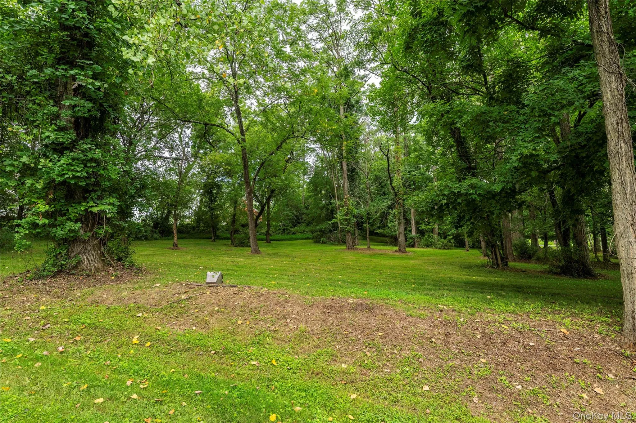 166 Ulster Landing Road, Ulster, NY, 5 Bedrooms Bedrooms, 8 Rooms Rooms,3 BathroomsBathrooms,Residential,For Rent,Ulster Landing,0,1039584 166 Ulster Landing Road, Ulster, NY, 5 Bedrooms Bedrooms, 8 Rooms Rooms,3 BathroomsBathrooms,Residential,For Rent,Ulster Landing,0,1039584