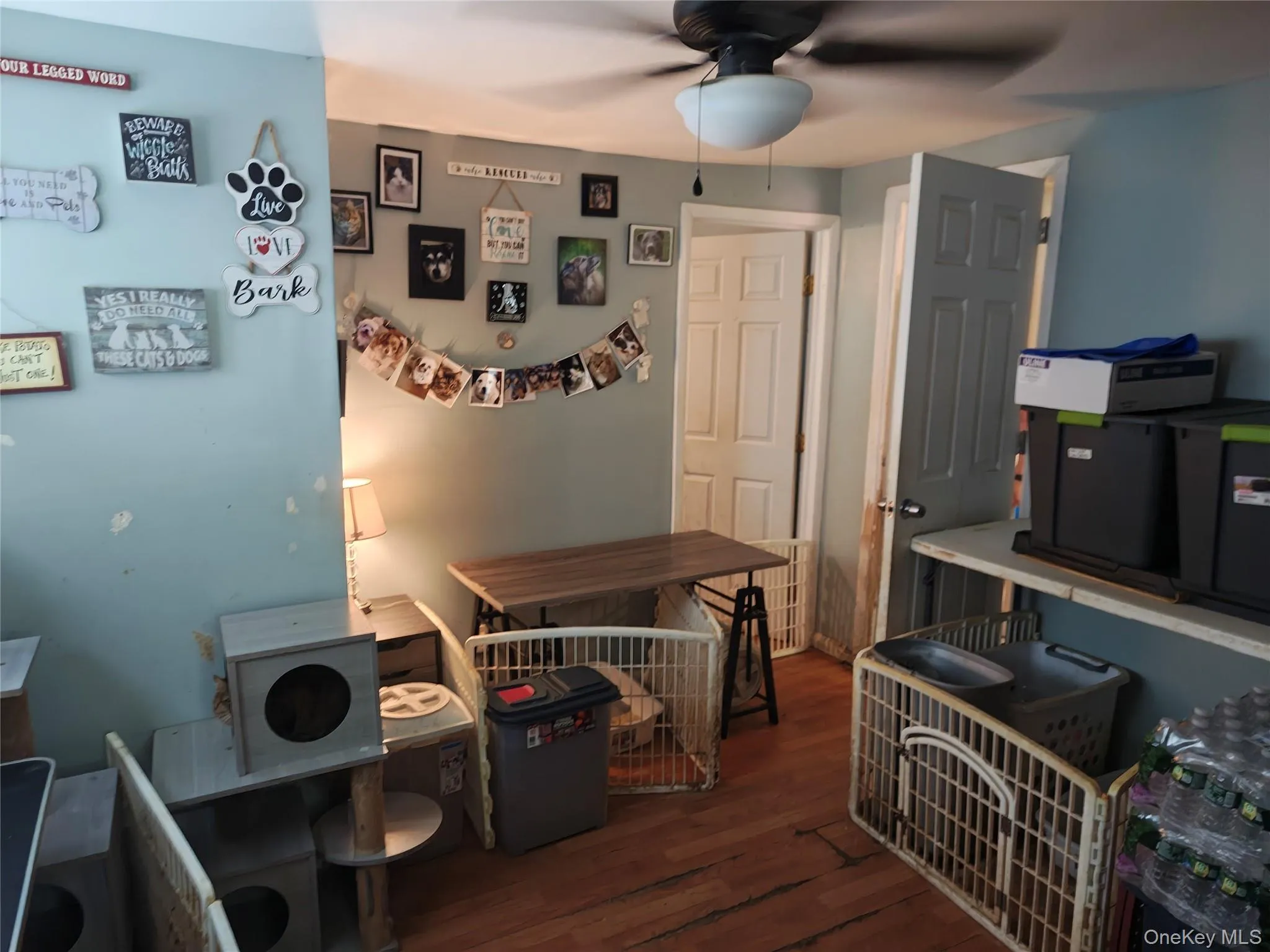 2220 Bruynswick Road, Shawangunk, NY, 3 Bedrooms Bedrooms, 5 Rooms Rooms,1 BathroomBathrooms,Residential,For Rent,Bruynswick,0,1039586 2220 Bruynswick Road, Shawangunk, NY, 3 Bedrooms Bedrooms, 5 Rooms Rooms,1 BathroomBathrooms,Residential,For Rent,Bruynswick,0,1039586
