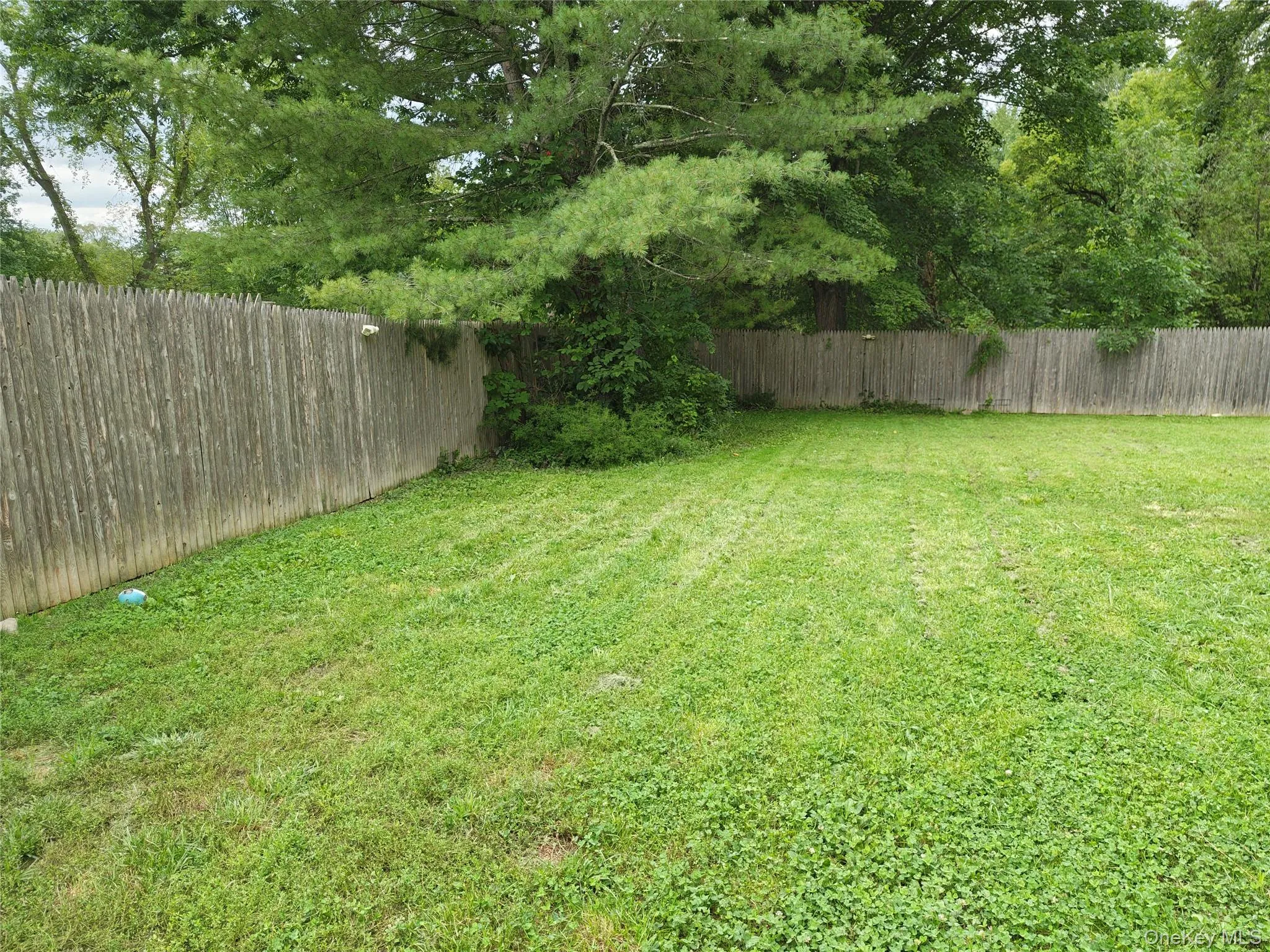 2220 Bruynswick Road, Shawangunk, NY, 3 Bedrooms Bedrooms, 5 Rooms Rooms,1 BathroomBathrooms,Residential,For Rent,Bruynswick,0,1039586 2220 Bruynswick Road, Shawangunk, NY, 3 Bedrooms Bedrooms, 5 Rooms Rooms,1 BathroomBathrooms,Residential,For Rent,Bruynswick,0,1039586