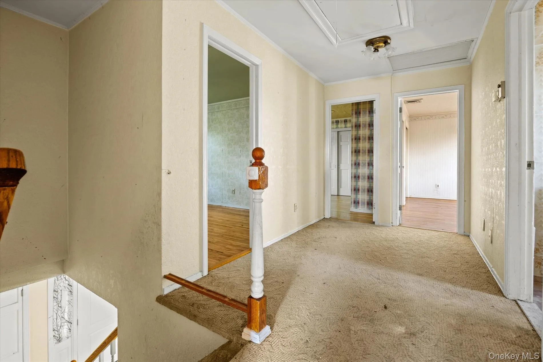 251 Perkins Avenue, Hempstead, NY, 5 Bedrooms Bedrooms, 8 Rooms Rooms,3 BathroomsBathrooms,Residential,For Rent,Perkins,0,1039609 251 Perkins Avenue, Hempstead, NY, 5 Bedrooms Bedrooms, 8 Rooms Rooms,3 BathroomsBathrooms,Residential,For Rent,Perkins,0,1039609