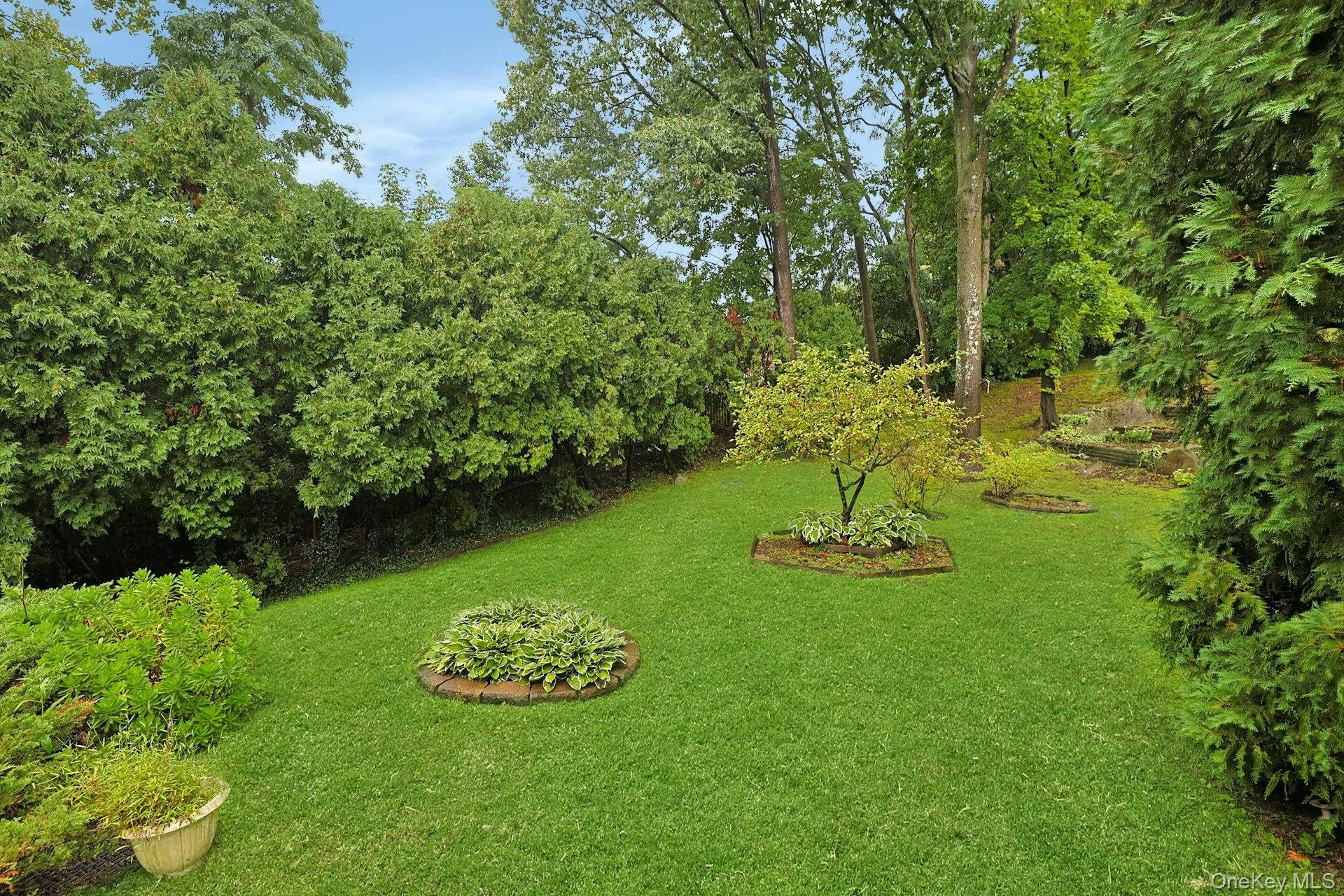 Large rear yard Large rear yard