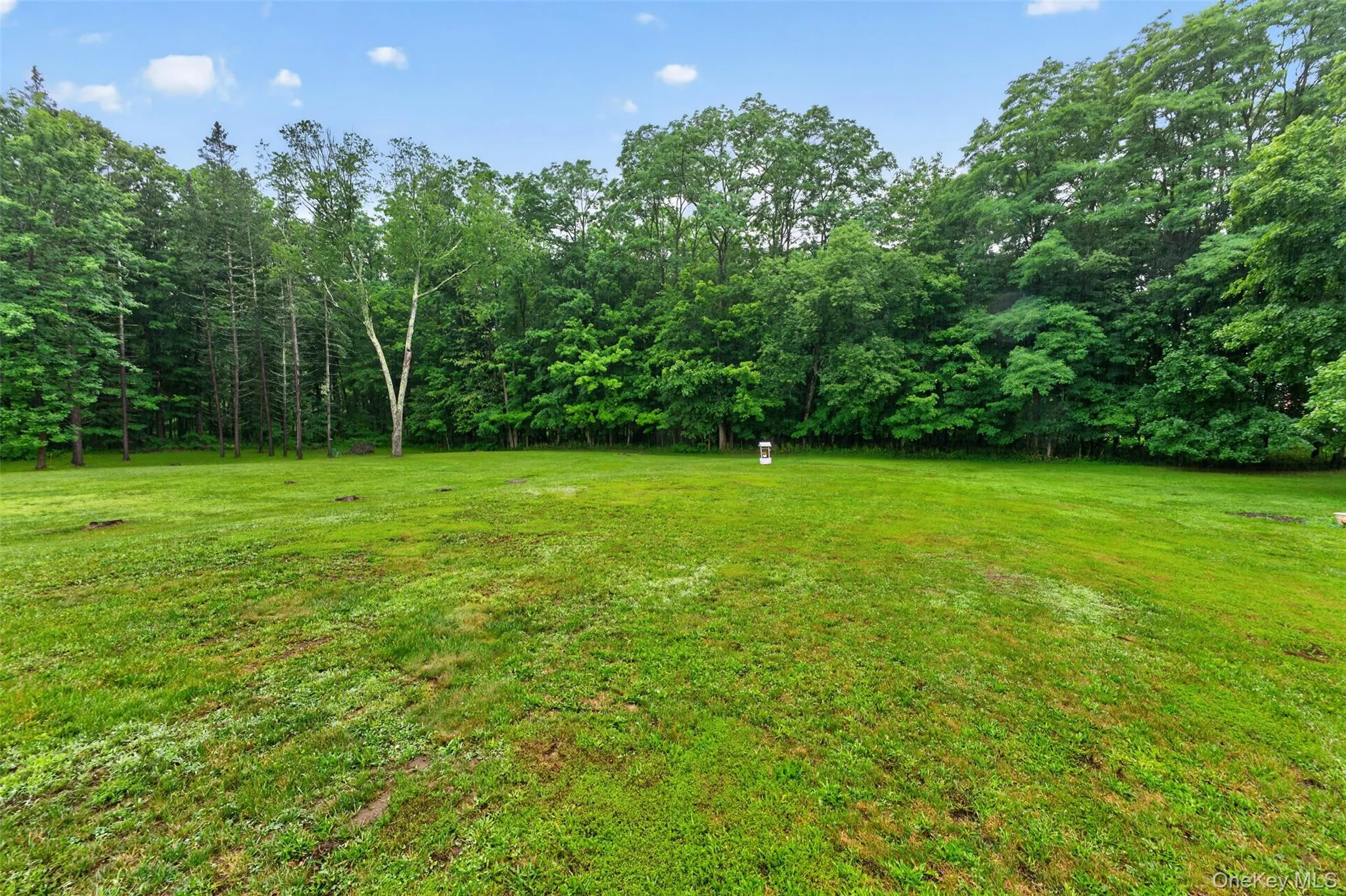 329 Route 27, Durham, NY, 3 Bedrooms Bedrooms, 7 Rooms Rooms,1 BathroomBathrooms,Residential,For Rent,Route 27,0,1039634 329 Route 27, Durham, NY, 3 Bedrooms Bedrooms, 7 Rooms Rooms,1 BathroomBathrooms,Residential,For Rent,Route 27,0,1039634