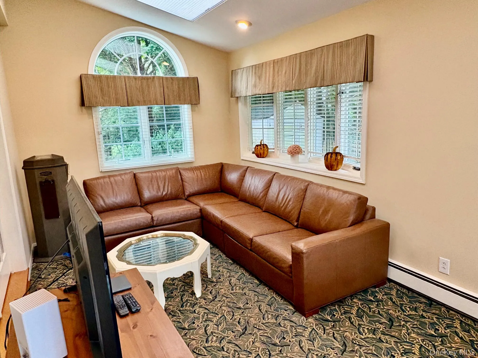 Skylight with vaulted ceiling family room Skylight with vaulted ceiling family room
