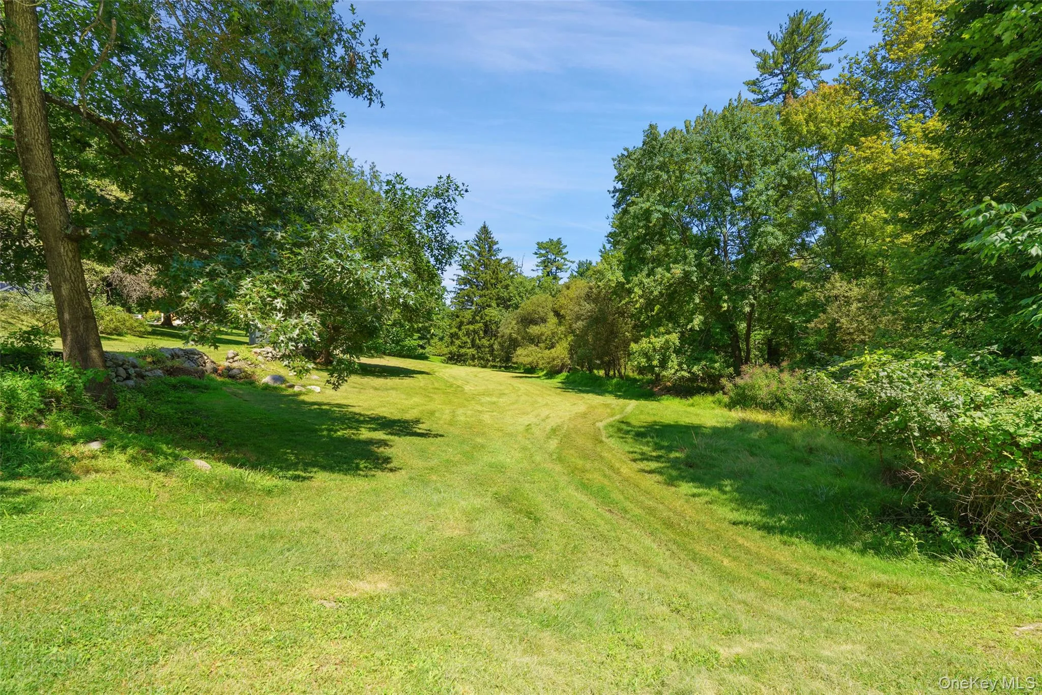 Side yard with room to play soccer or even add a pool! Side yard with room to play soccer or even add a pool!