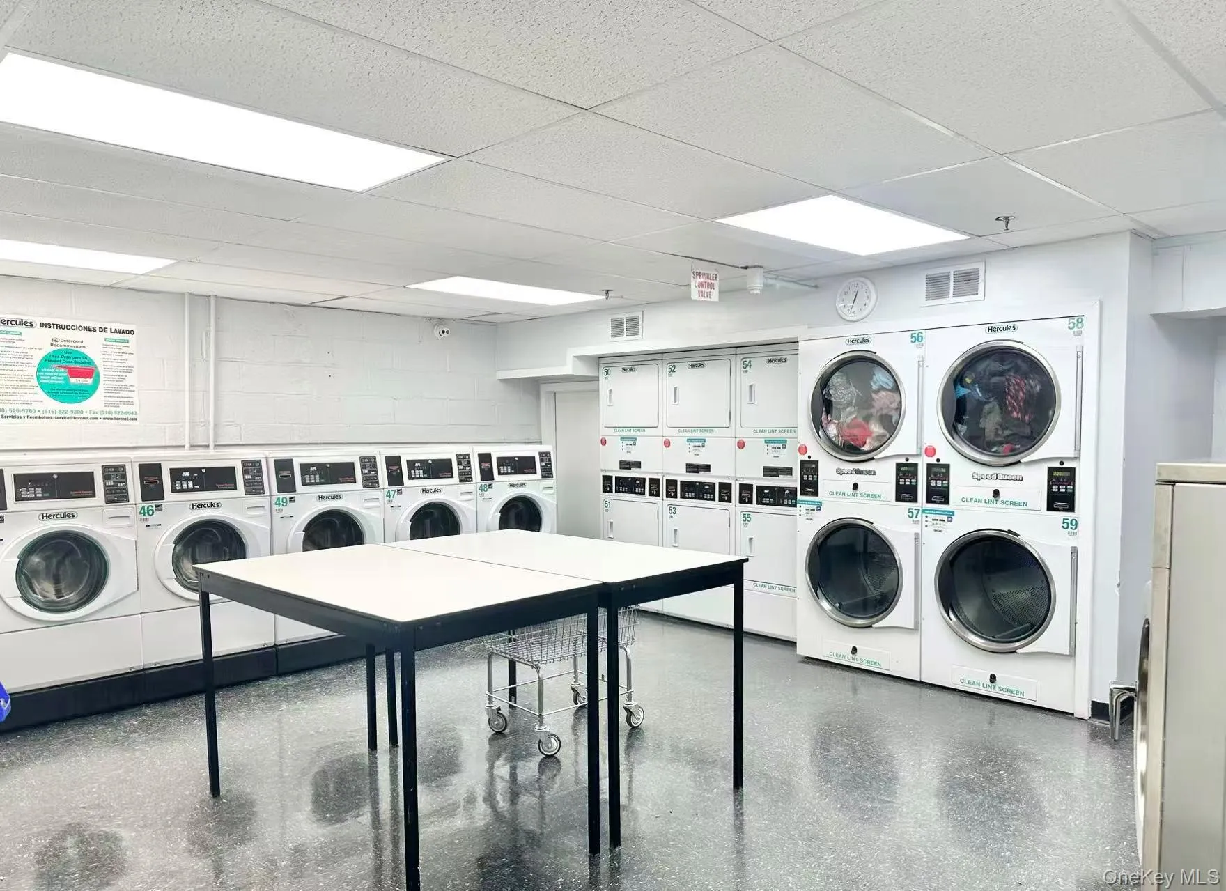 99-60 63rd Road, New York, NY, 2 Bedrooms Bedrooms, 4 Rooms Rooms,1 BathroomBathrooms,Residential,For Rent,63rd,0,1039663 99-60 63rd Road, New York, NY, 2 Bedrooms Bedrooms, 4 Rooms Rooms,1 BathroomBathrooms,Residential,For Rent,63rd,0,1039663