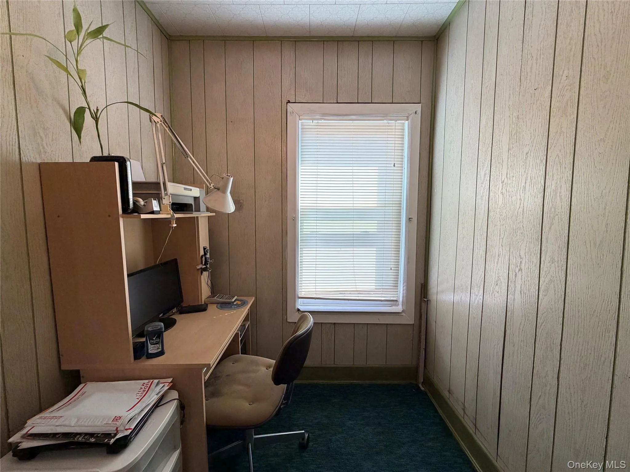 88-31 88th Street, New York, NY, 3 Bedrooms Bedrooms, 8 Rooms Rooms,2 BathroomsBathrooms,Residential,For Rent,88th,0,1039692 88-31 88th Street, New York, NY, 3 Bedrooms Bedrooms, 8 Rooms Rooms,2 BathroomsBathrooms,Residential,For Rent,88th,0,1039692