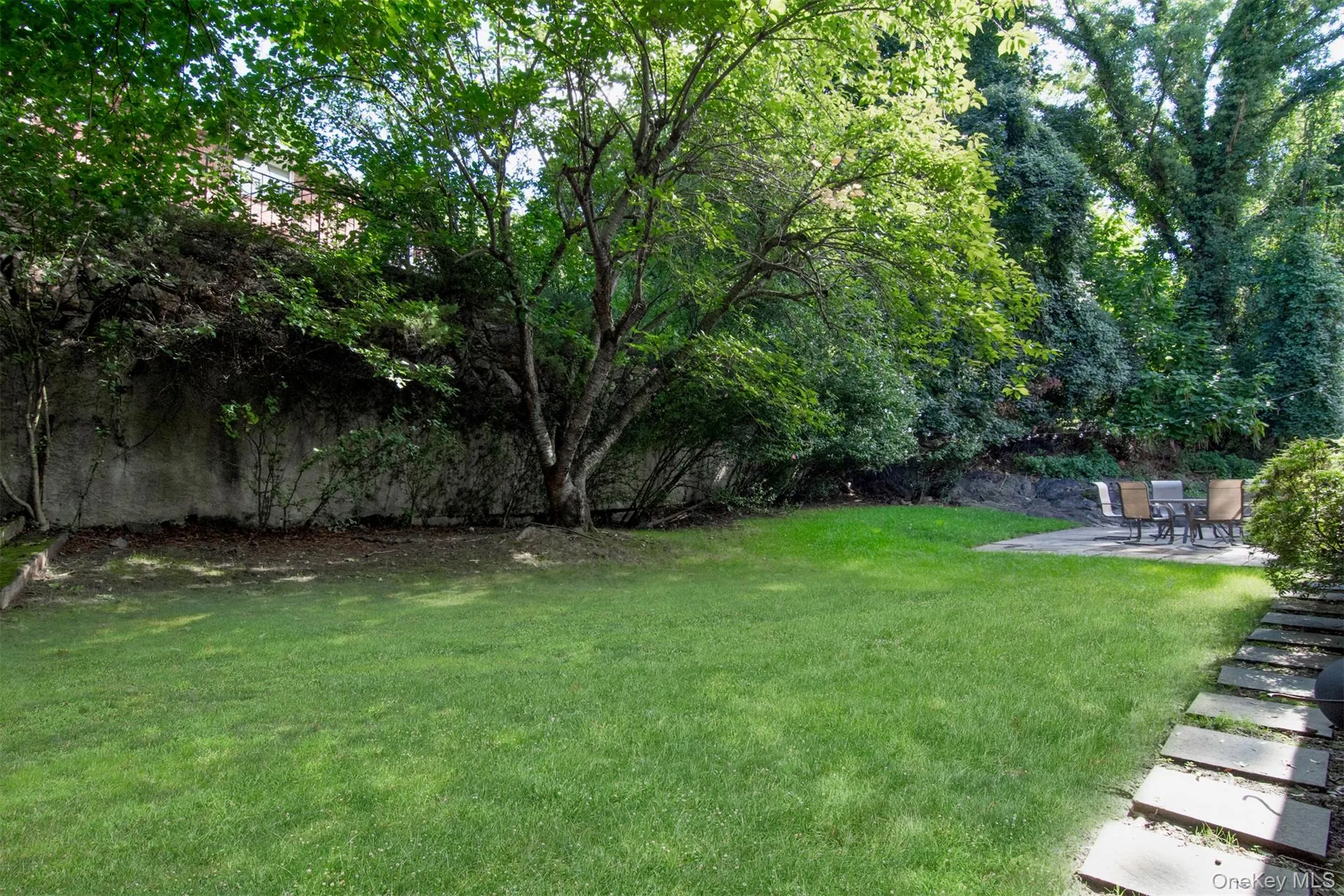 Backyard Backyard