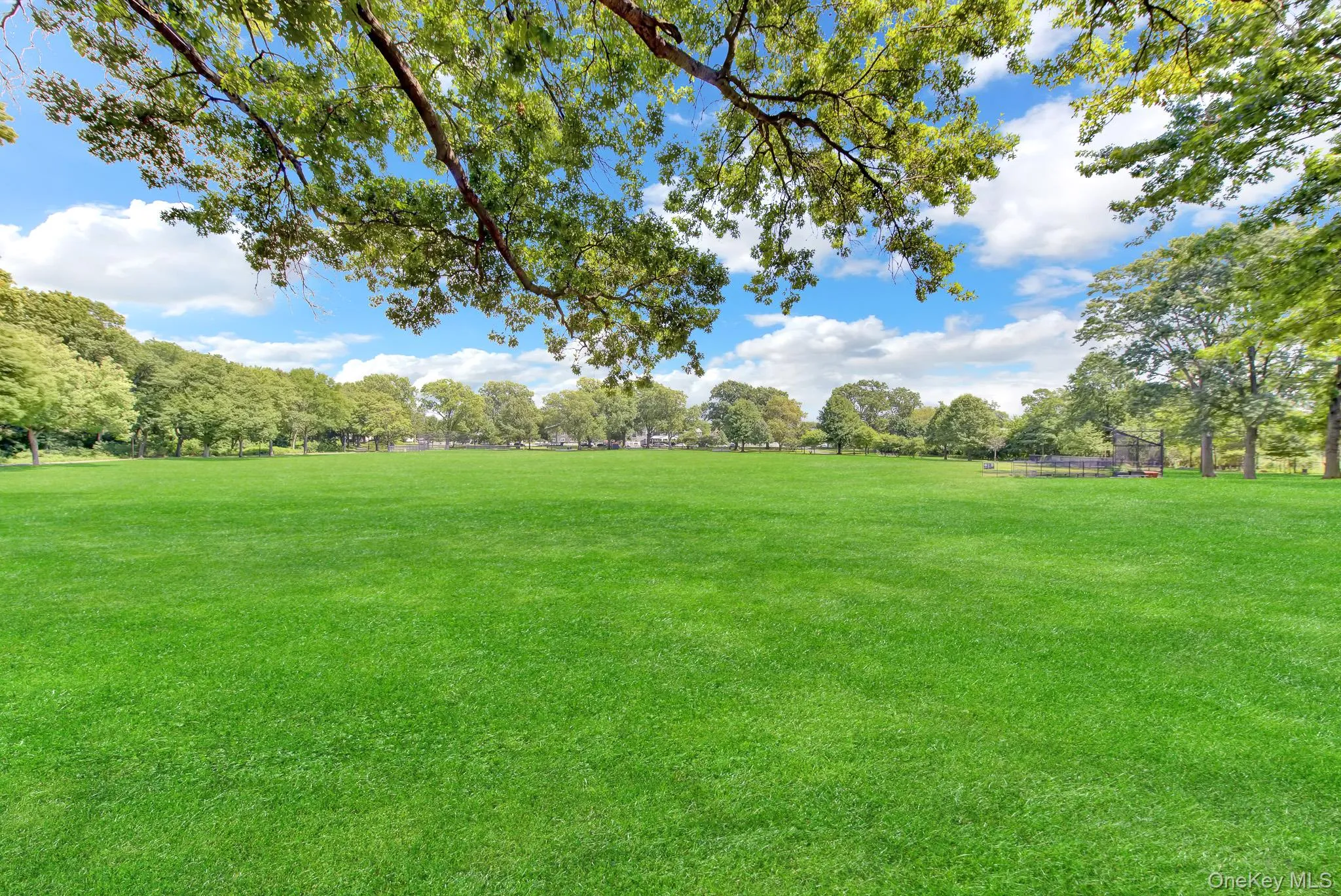 15313 118th Avenue, New York, NY, 3 Bedrooms Bedrooms, 7 Rooms Rooms,2 BathroomsBathrooms,Residential,For Rent,118th,0,1039708 15313 118th Avenue, New York, NY, 3 Bedrooms Bedrooms, 7 Rooms Rooms,2 BathroomsBathrooms,Residential,For Rent,118th,0,1039708