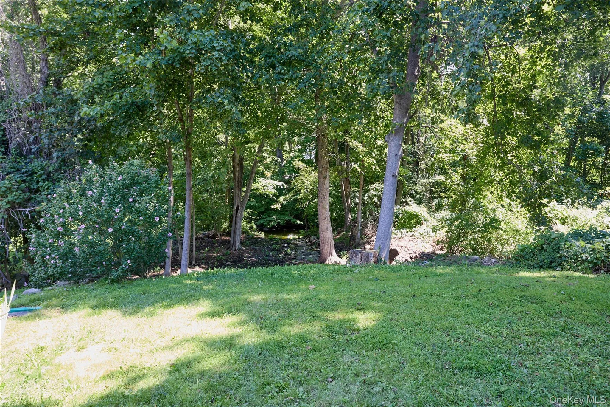 28 Brewster Drive, Kent, NY, 3 Bedrooms Bedrooms, 6 Rooms Rooms,2 BathroomsBathrooms,Residential,For Rent,Brewster,0,1039718 28 Brewster Drive, Kent, NY, 3 Bedrooms Bedrooms, 6 Rooms Rooms,2 BathroomsBathrooms,Residential,For Rent,Brewster,0,1039718