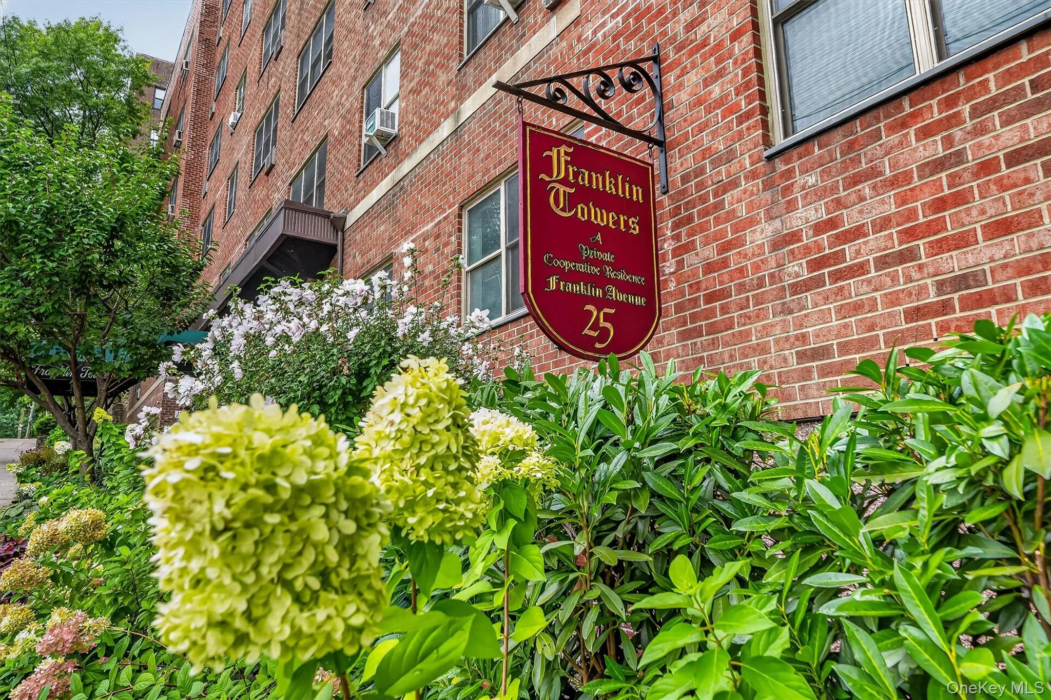 25 Franklin Avenue, White Plains, NY, 1 Bedroom Bedrooms, 3 Rooms Rooms,1 BathroomBathrooms,Residential,For Rent,Franklin,0,1039751 25 Franklin Avenue, White Plains, NY, 1 Bedroom Bedrooms, 3 Rooms Rooms,1 BathroomBathrooms,Residential,For Rent,Franklin,0,1039751